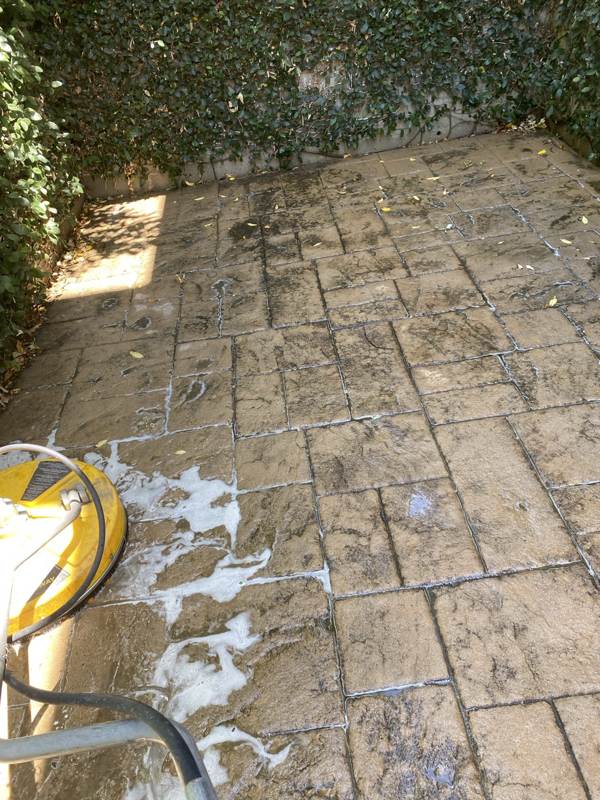 Before — shaded stamped concrete pad beside an ivy-covered wall, blackened with algae and organic staining