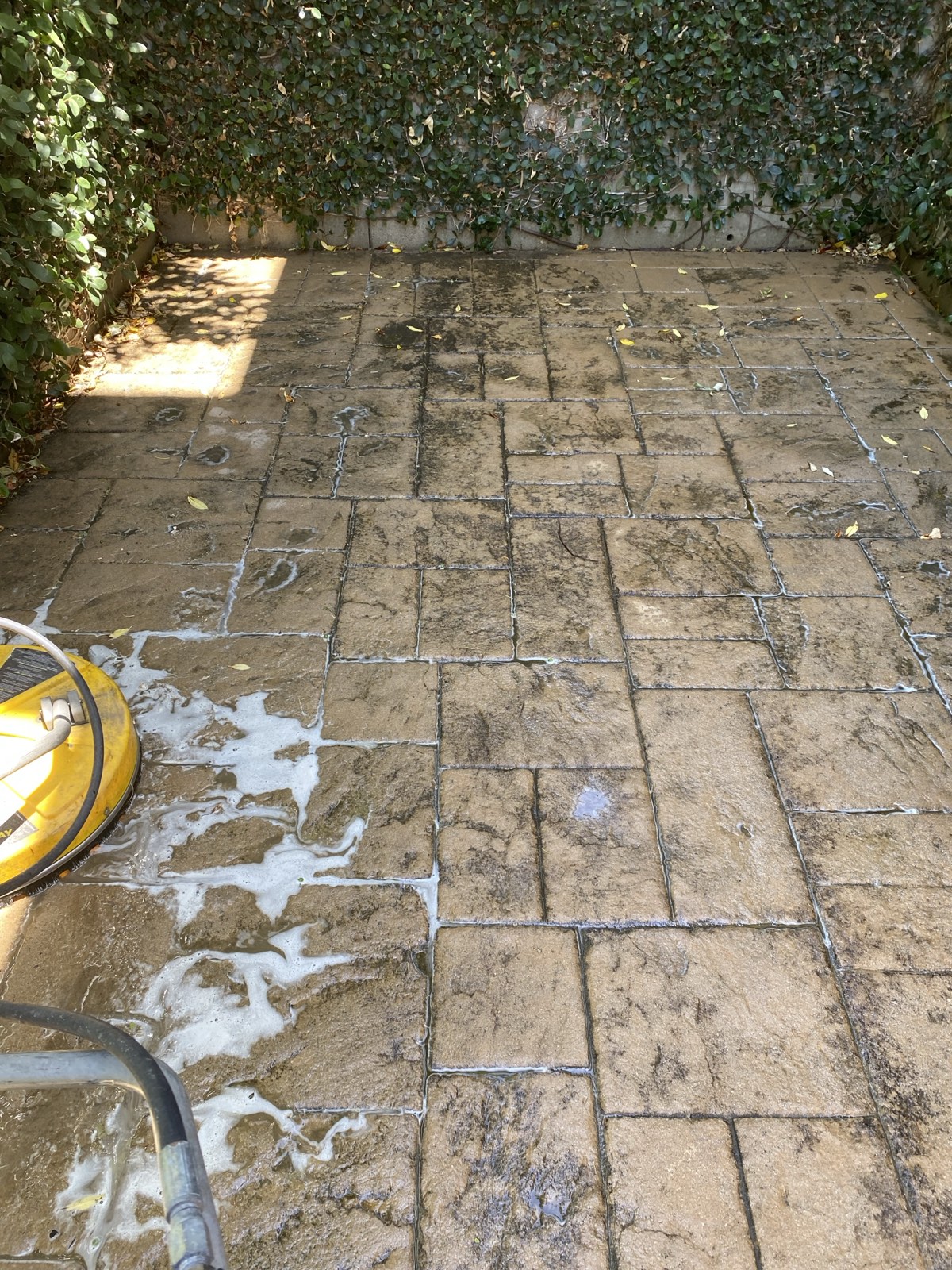 Before — algae buildup across a shaded walkway at the Mountain View complex, surface cleaner starting its first passes