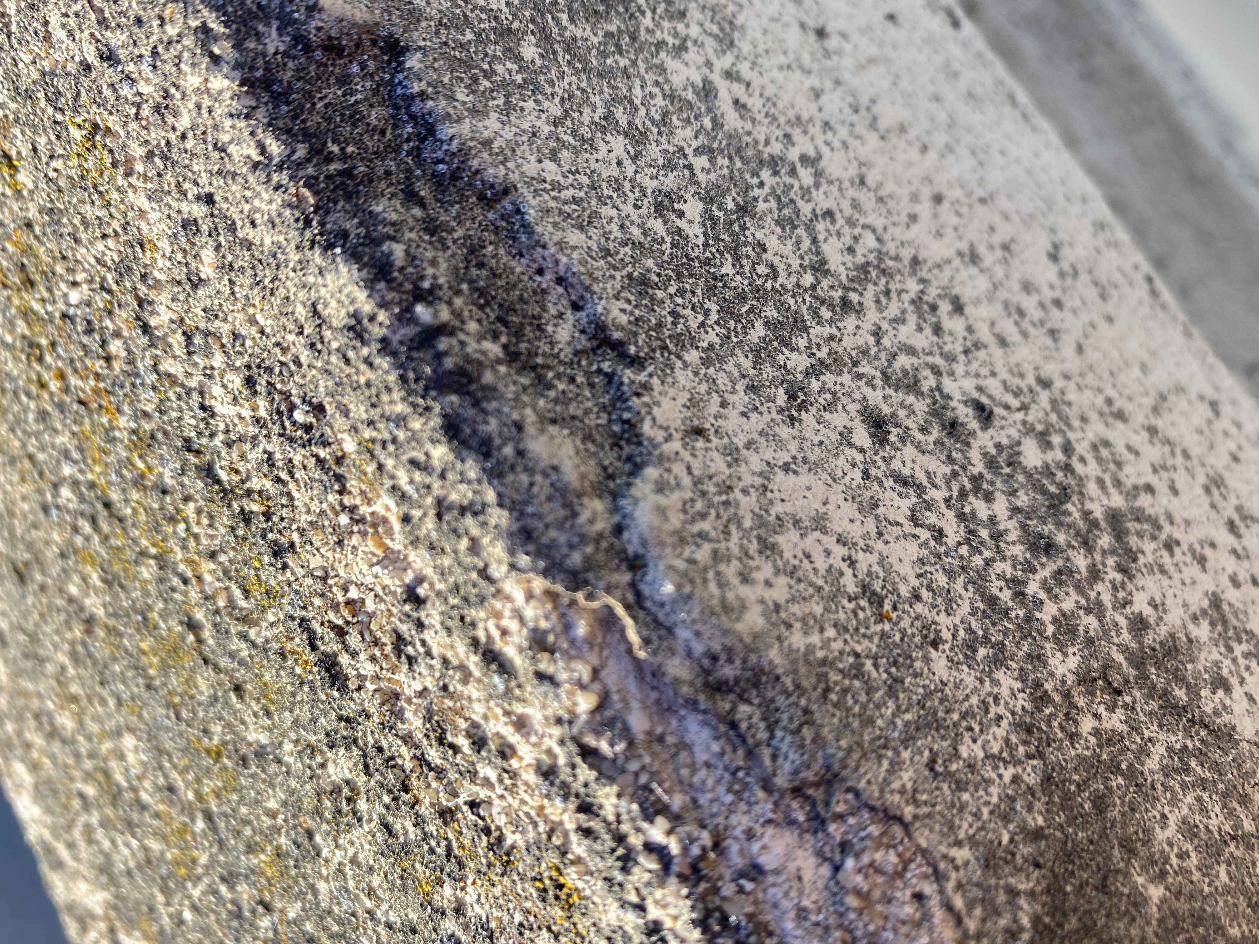Before — Mountain View exterior paint in poor condition before clean up
