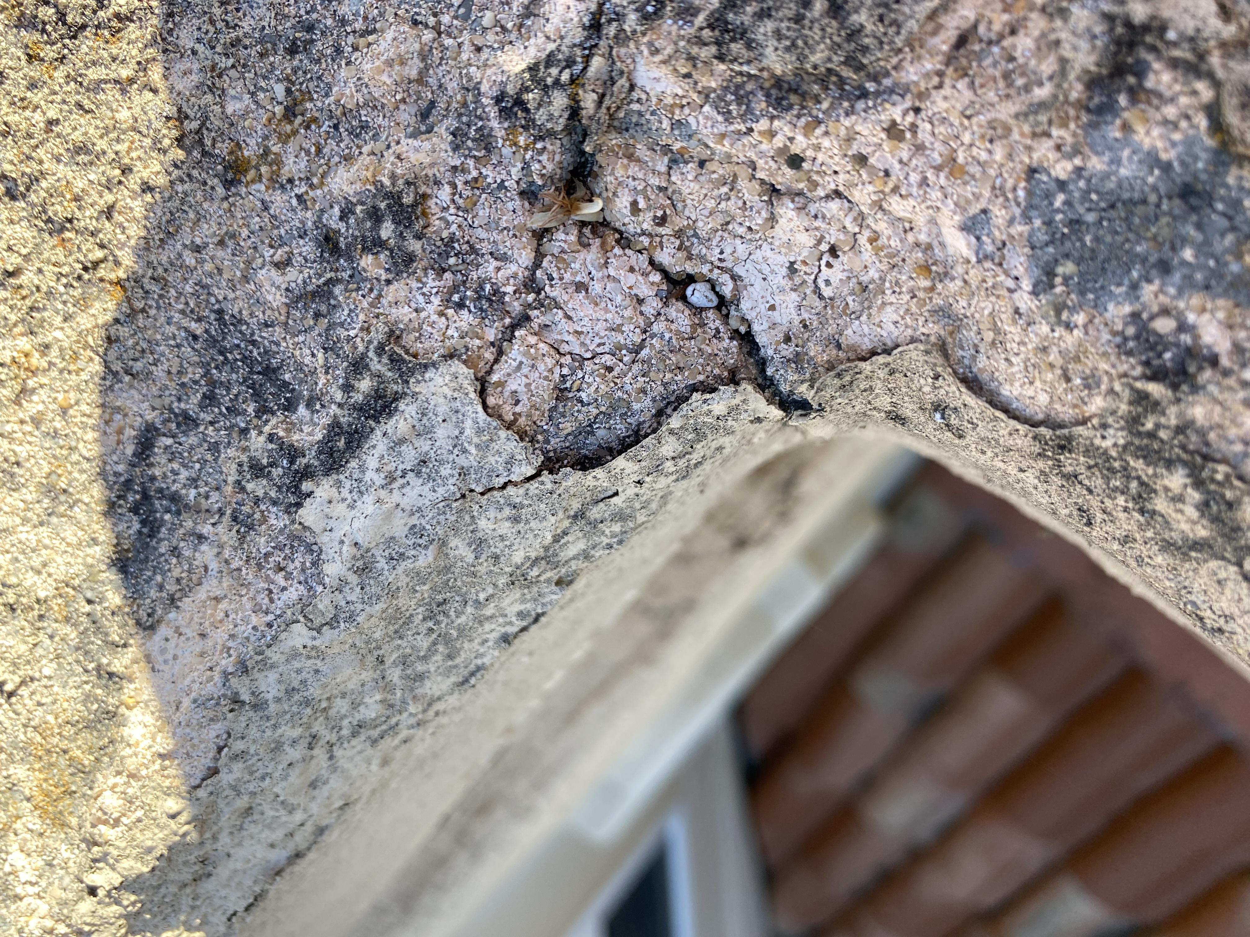Before — Mountain View surface with paint contamination before treatment