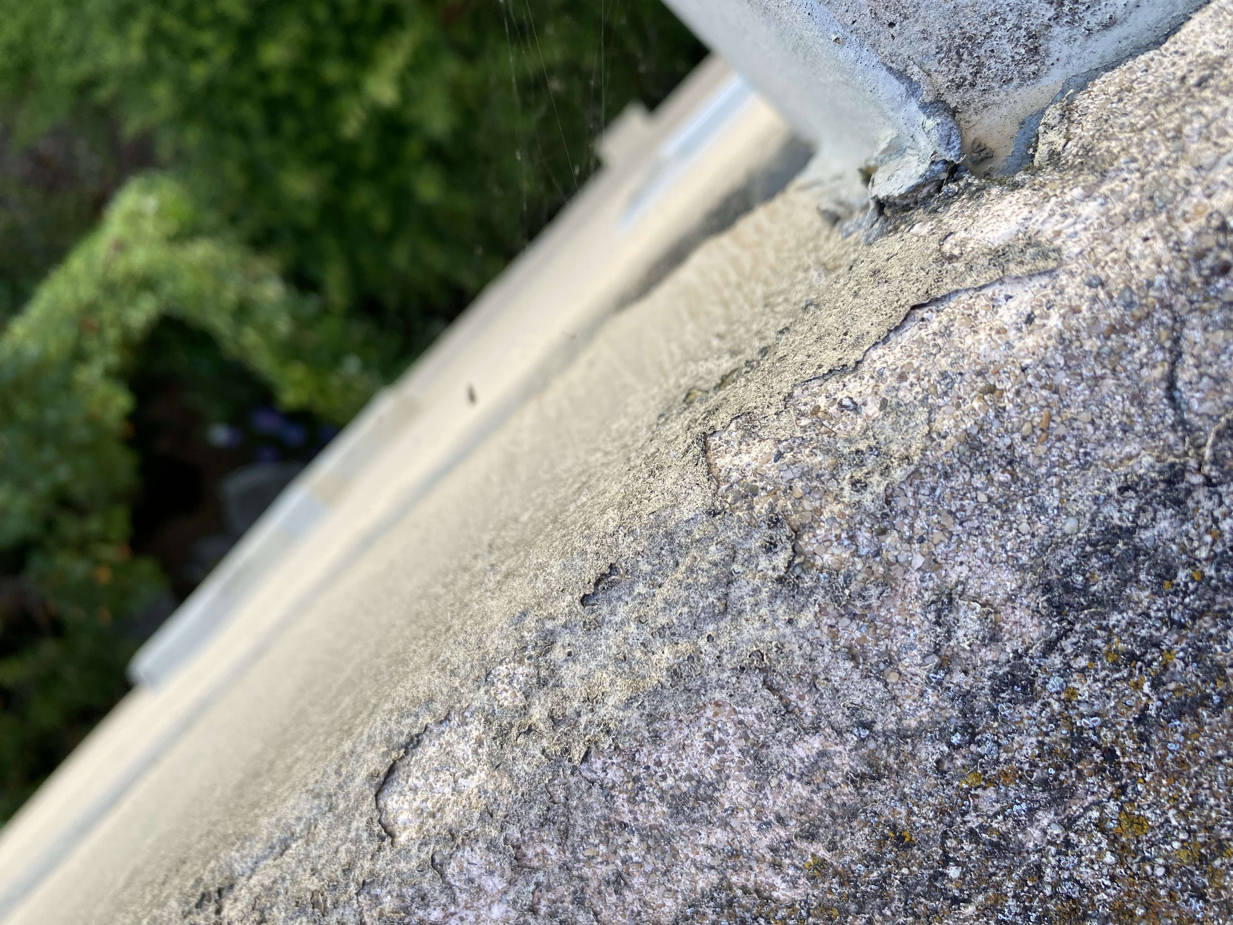 Before — Mountain View exterior surface paint clean up needed