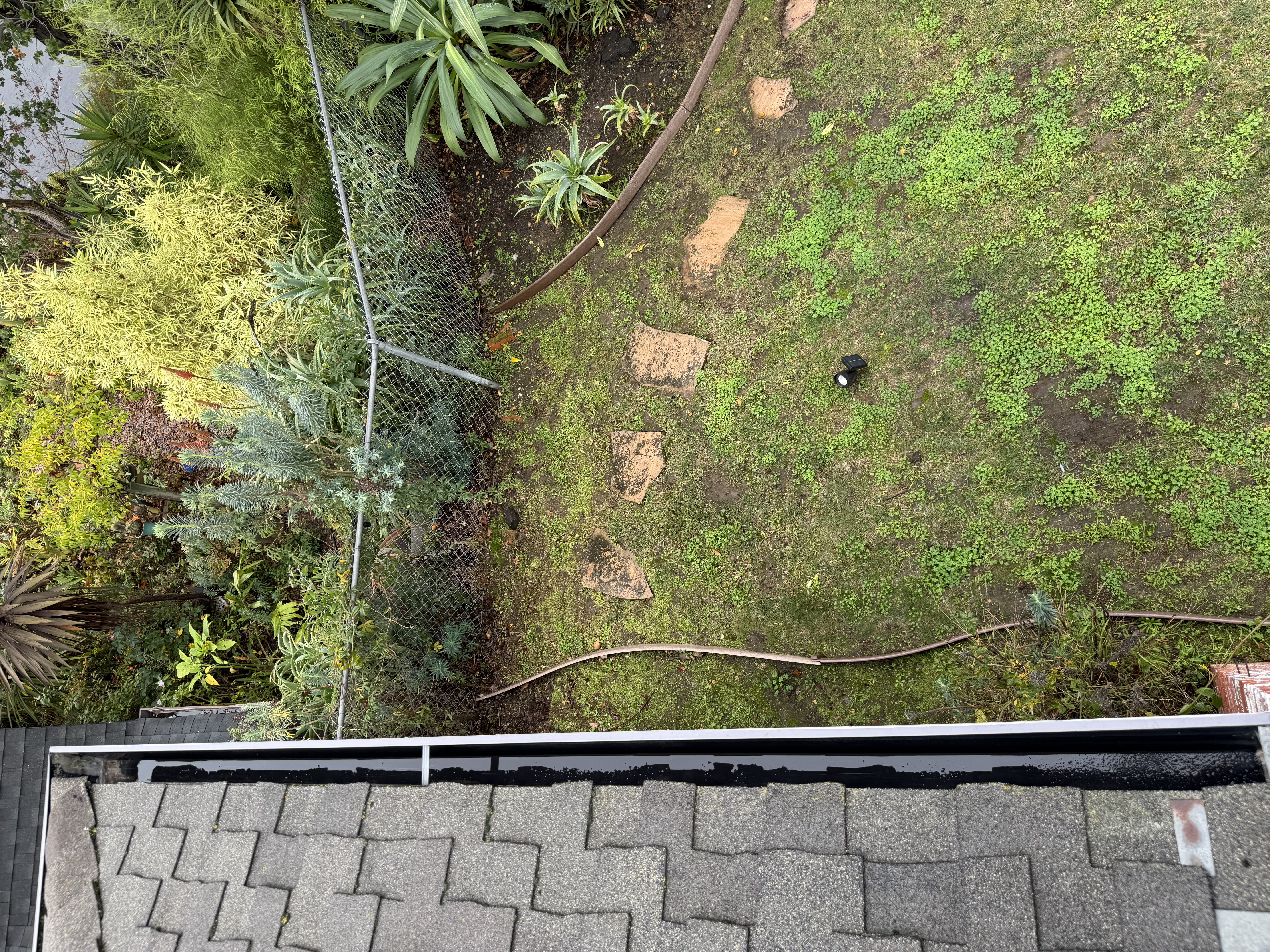 After — Oakland Hills gutters and roof clean after full service