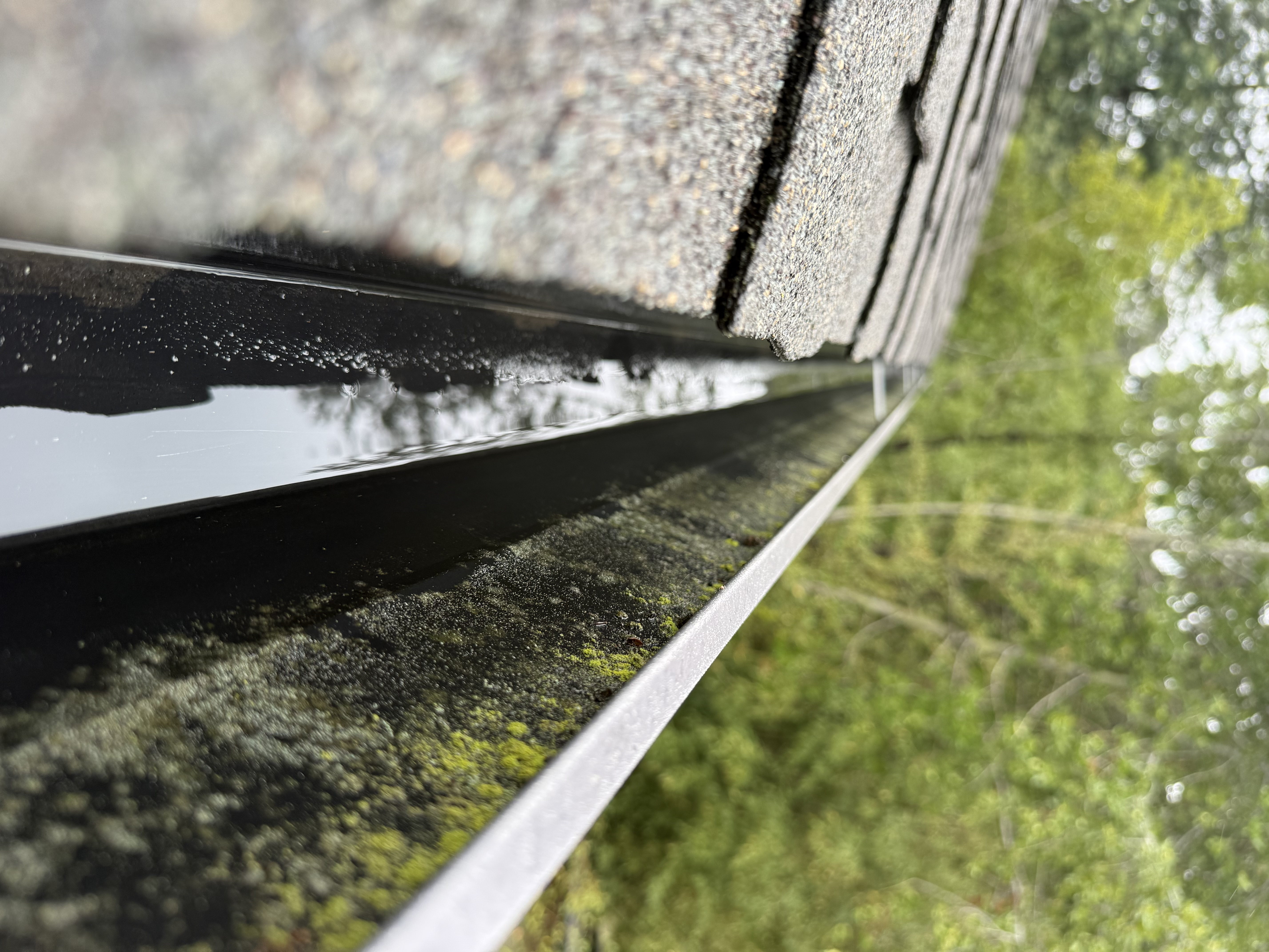 After — Oakland Hills gutter section clean, no organic buildup remaining