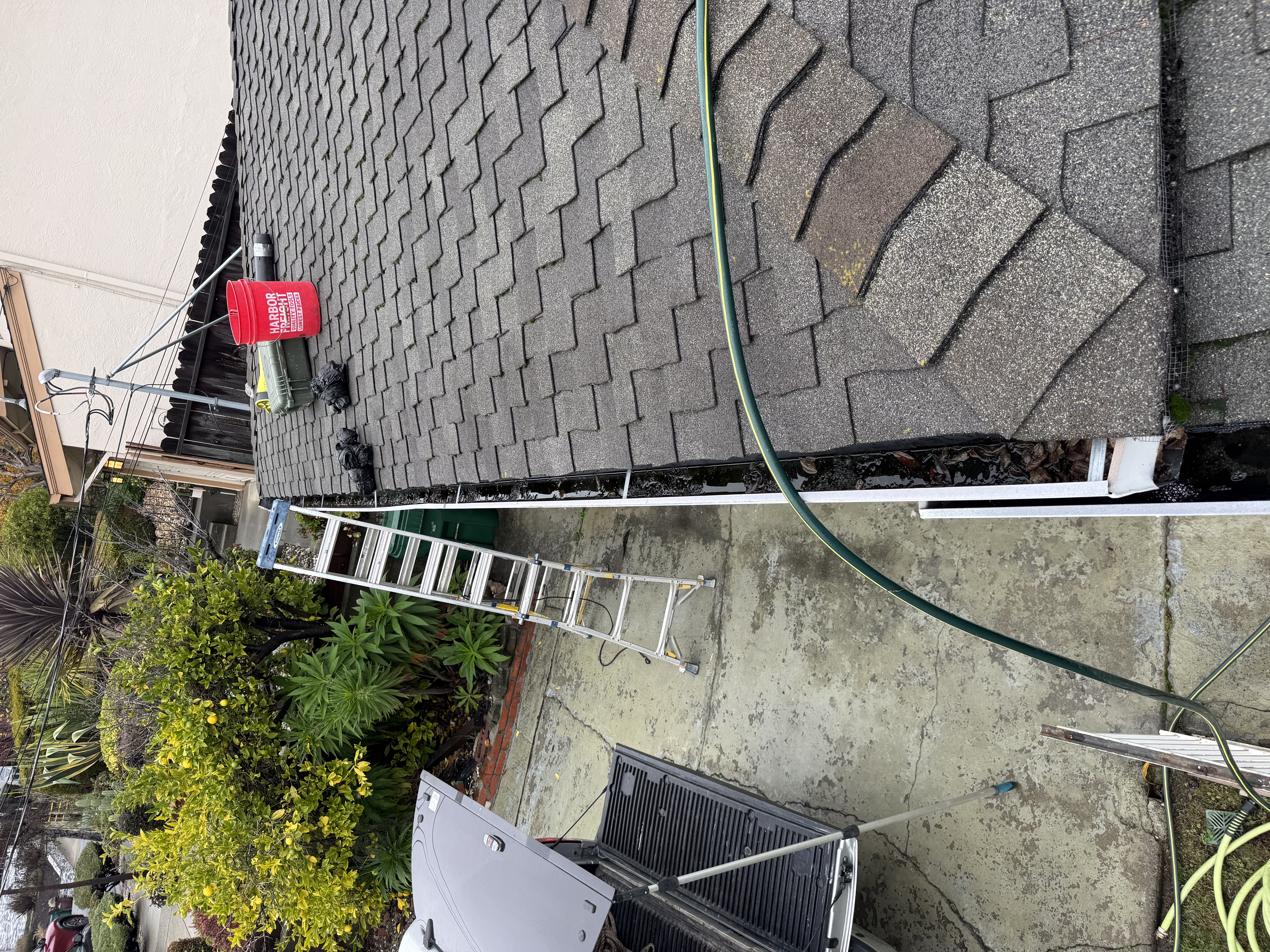 Before — Oakland Hills roof with heavy debris accumulation before removal