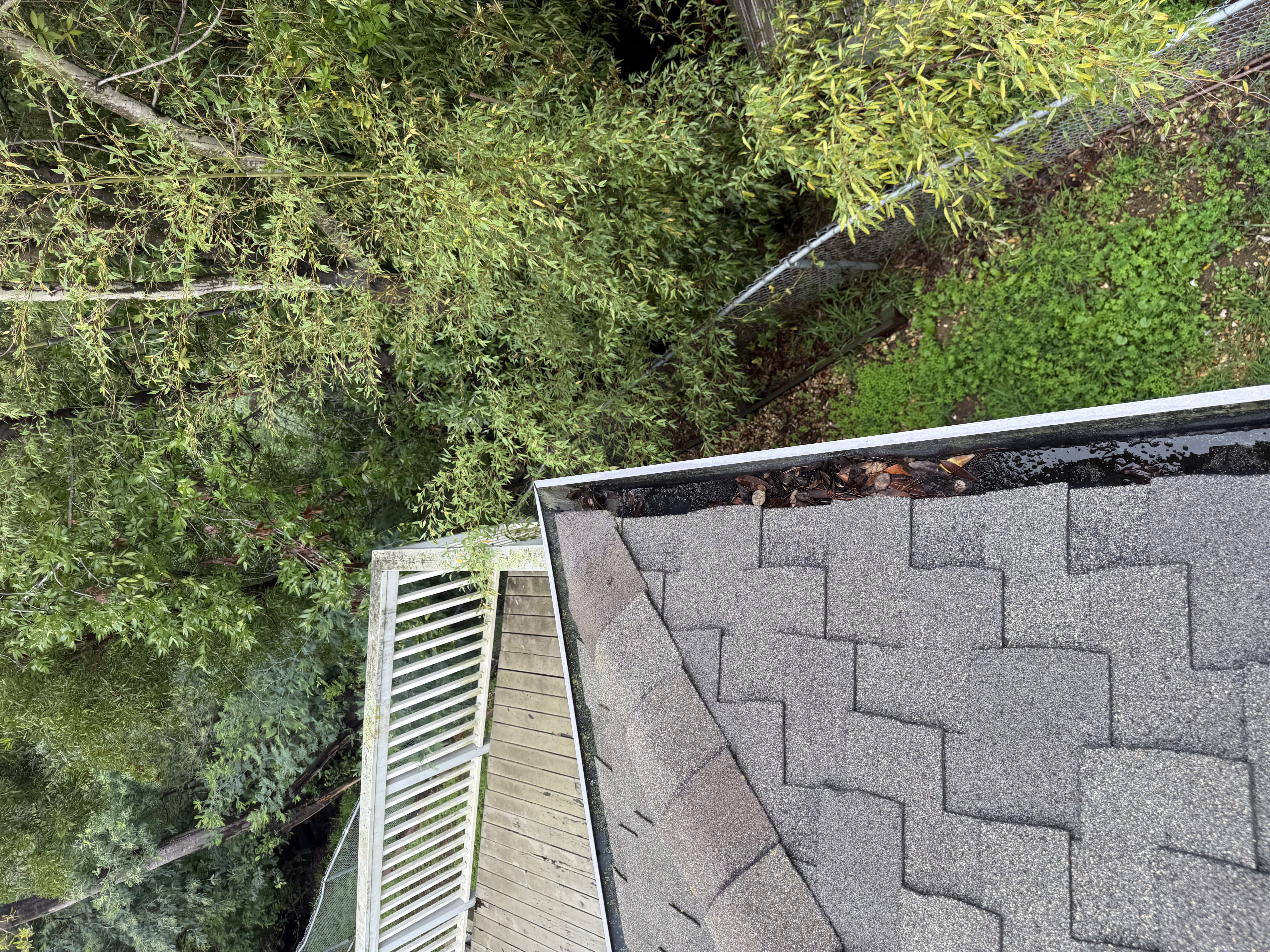 Before — Oakland Hills roof valley with leaf and needle debris before service