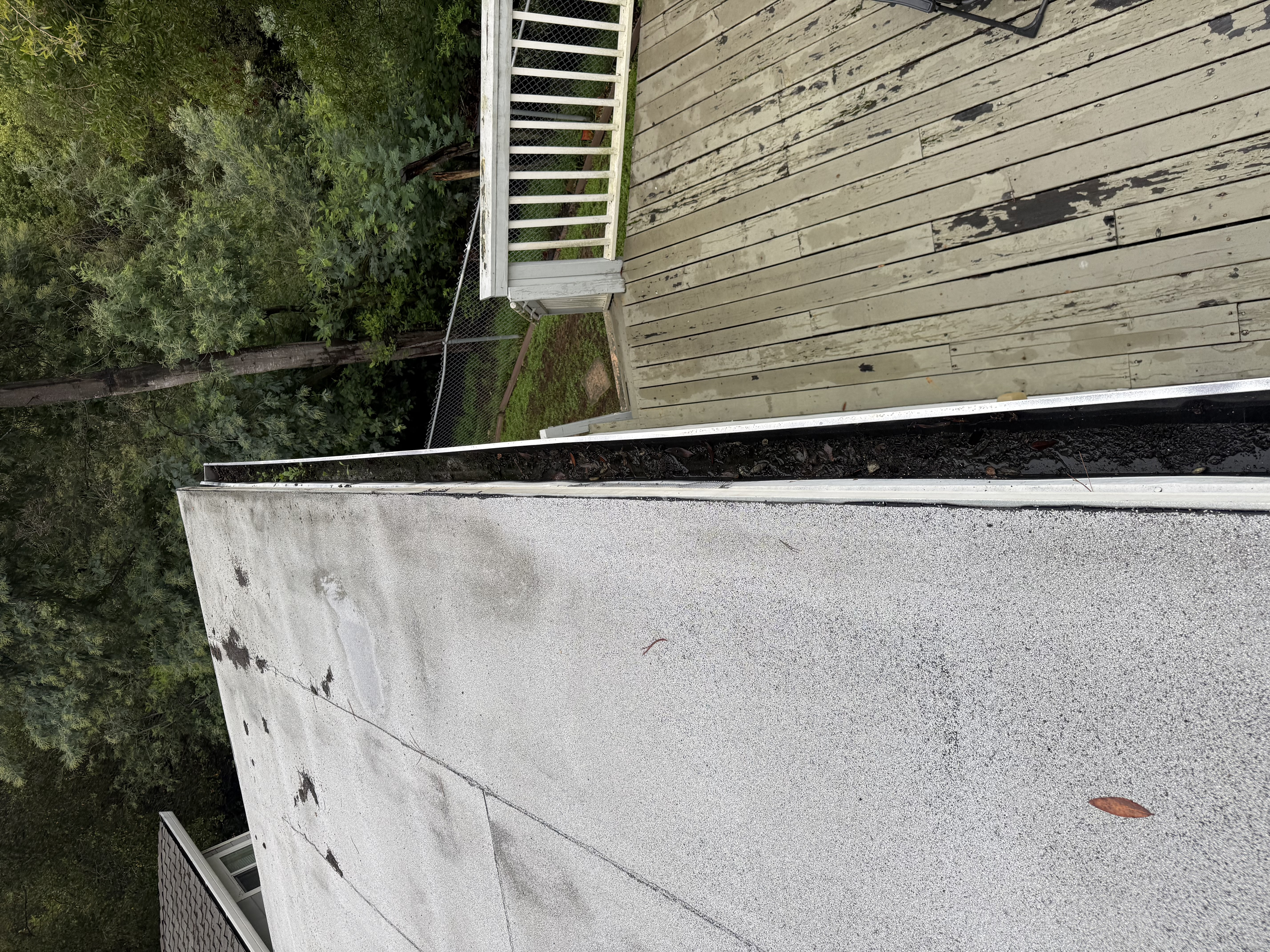 Before — Oakland Hills gutter run fully blocked before cleaning service