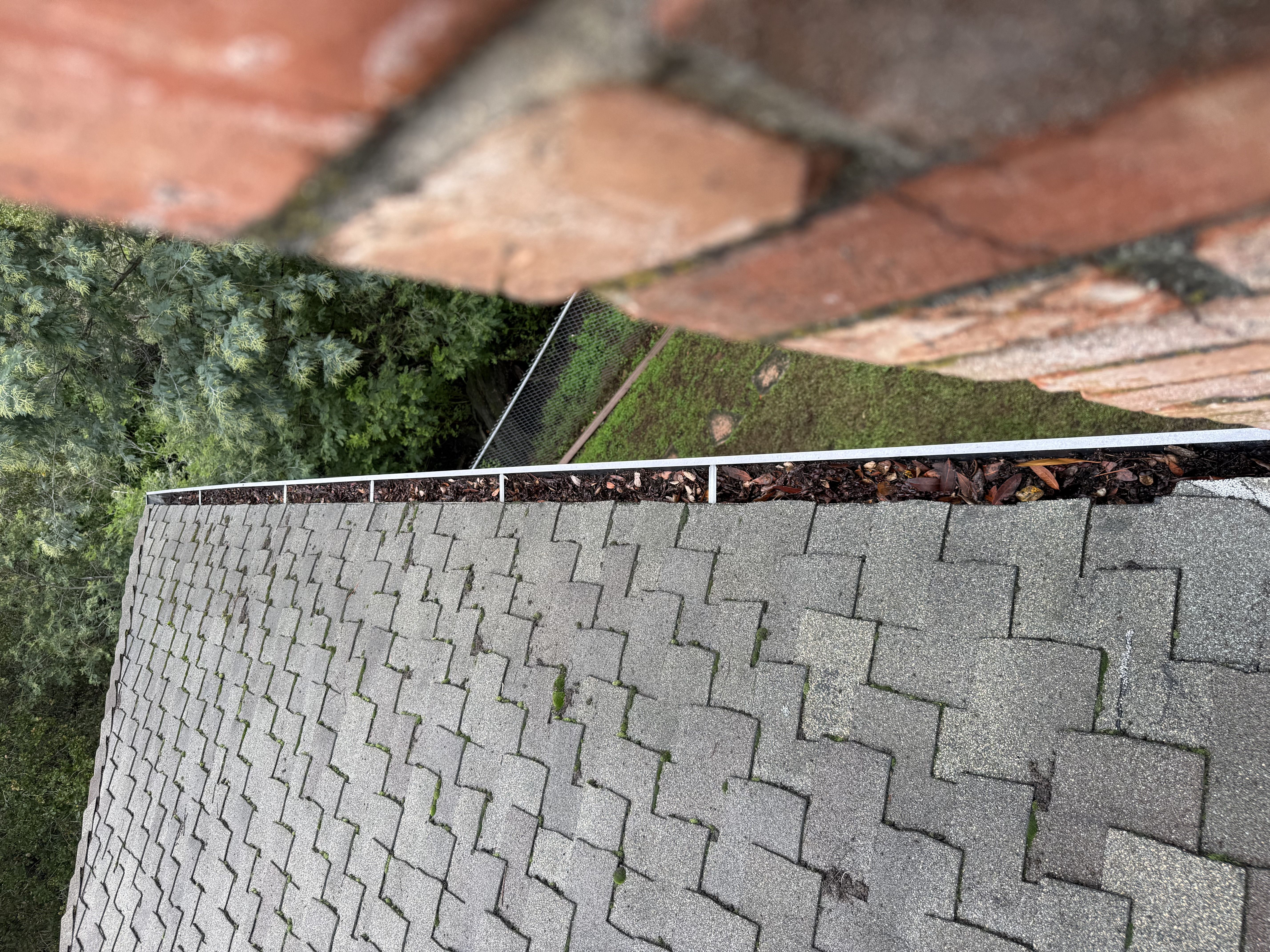 Before — Oakland Hills roof and gutter overview before debris removal