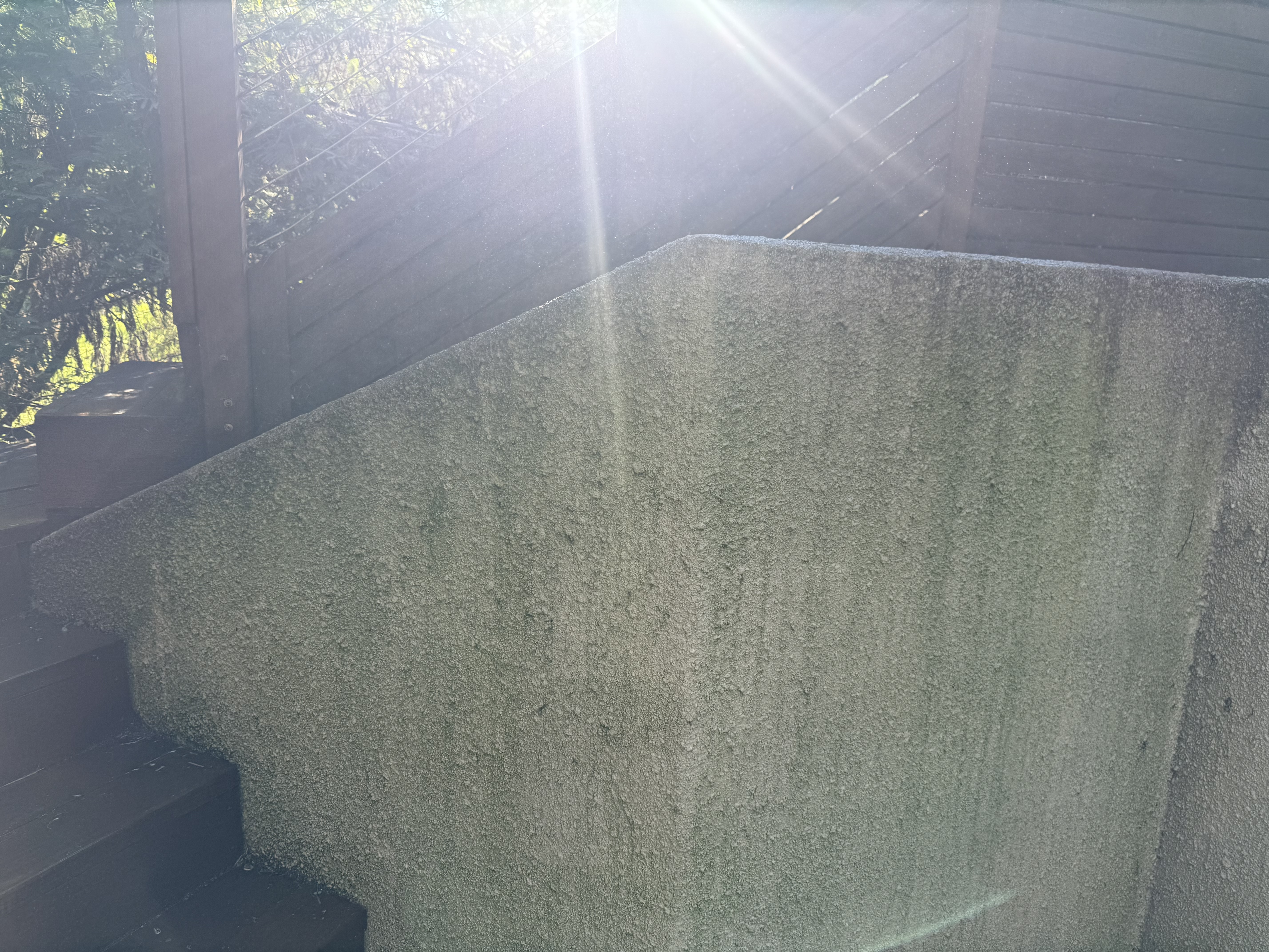 Before — Oakland Hills fence and siding with biological buildup