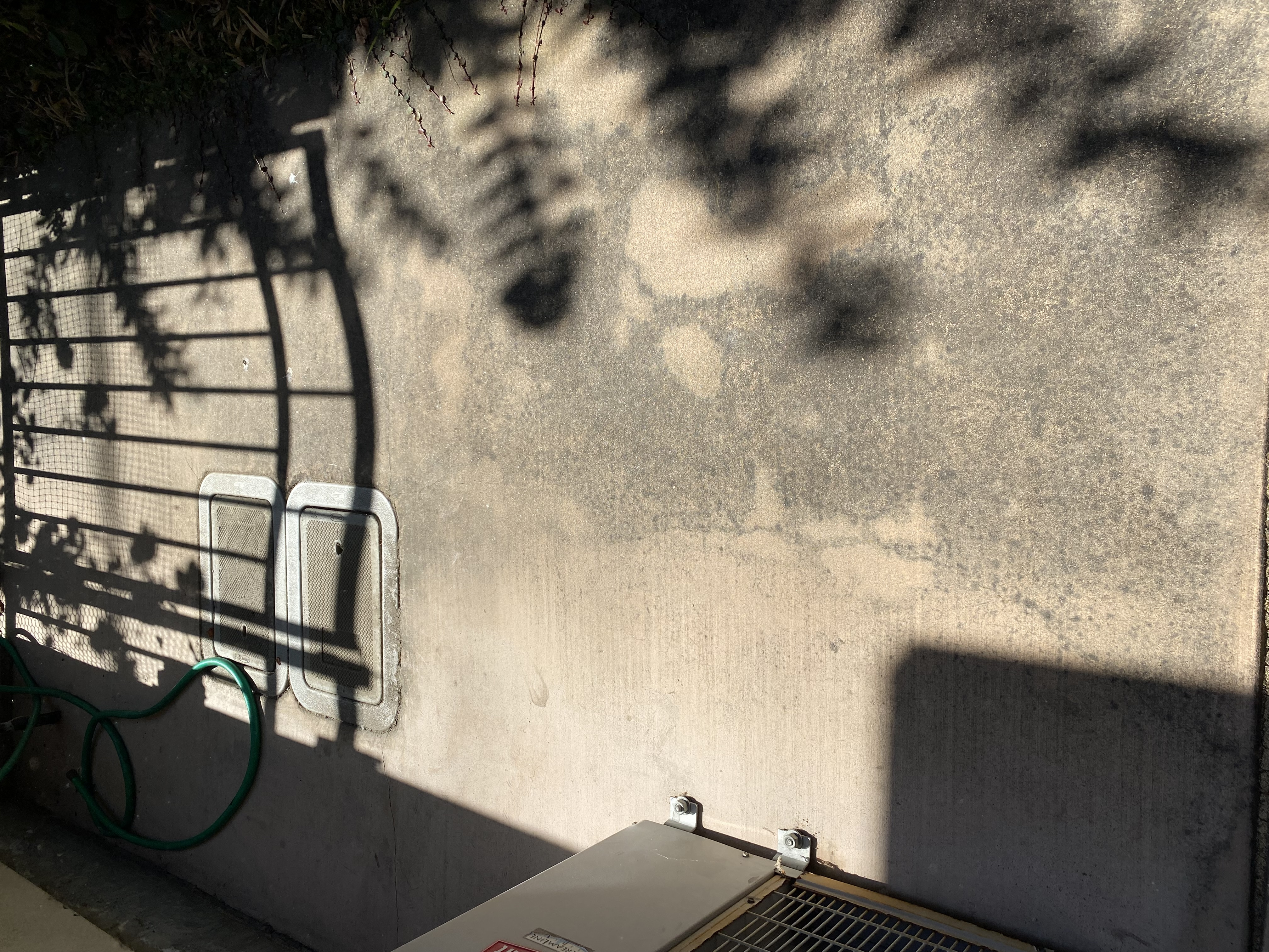 Before — Palo Alto backyard patio with organic staining and algae growth