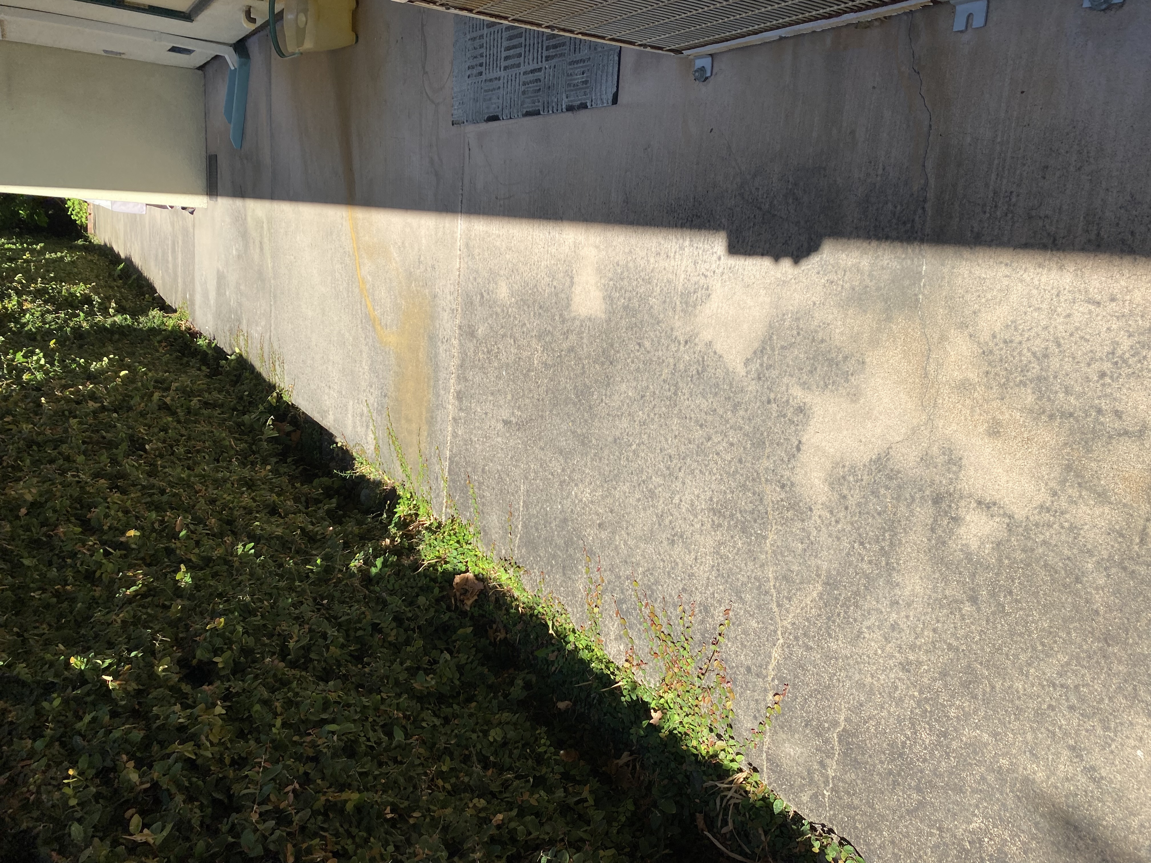 Before — Palo Alto concrete patio surface with heavy buildup before wash