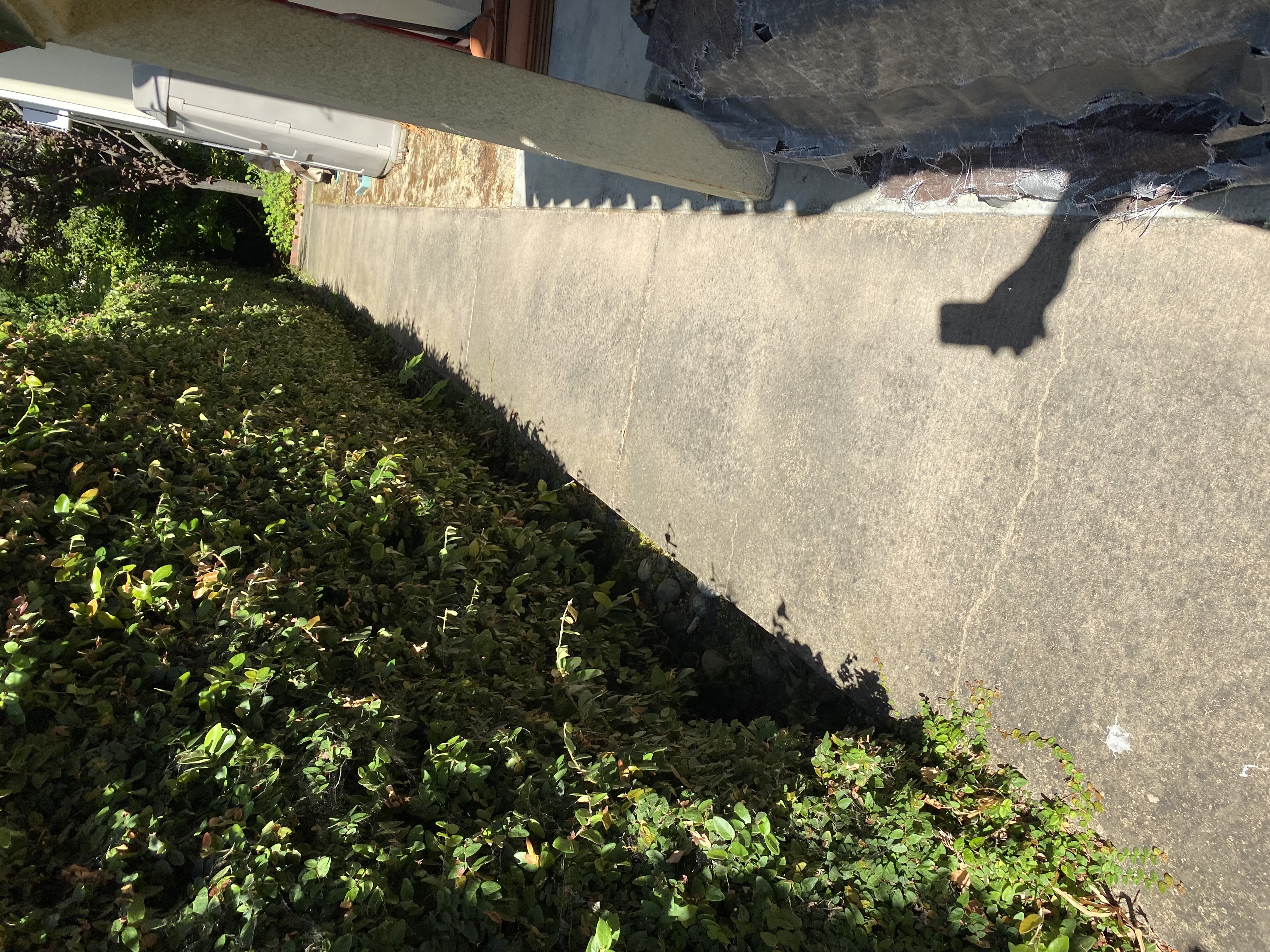 Before — Palo Alto driveway with oil staining and organic discoloration