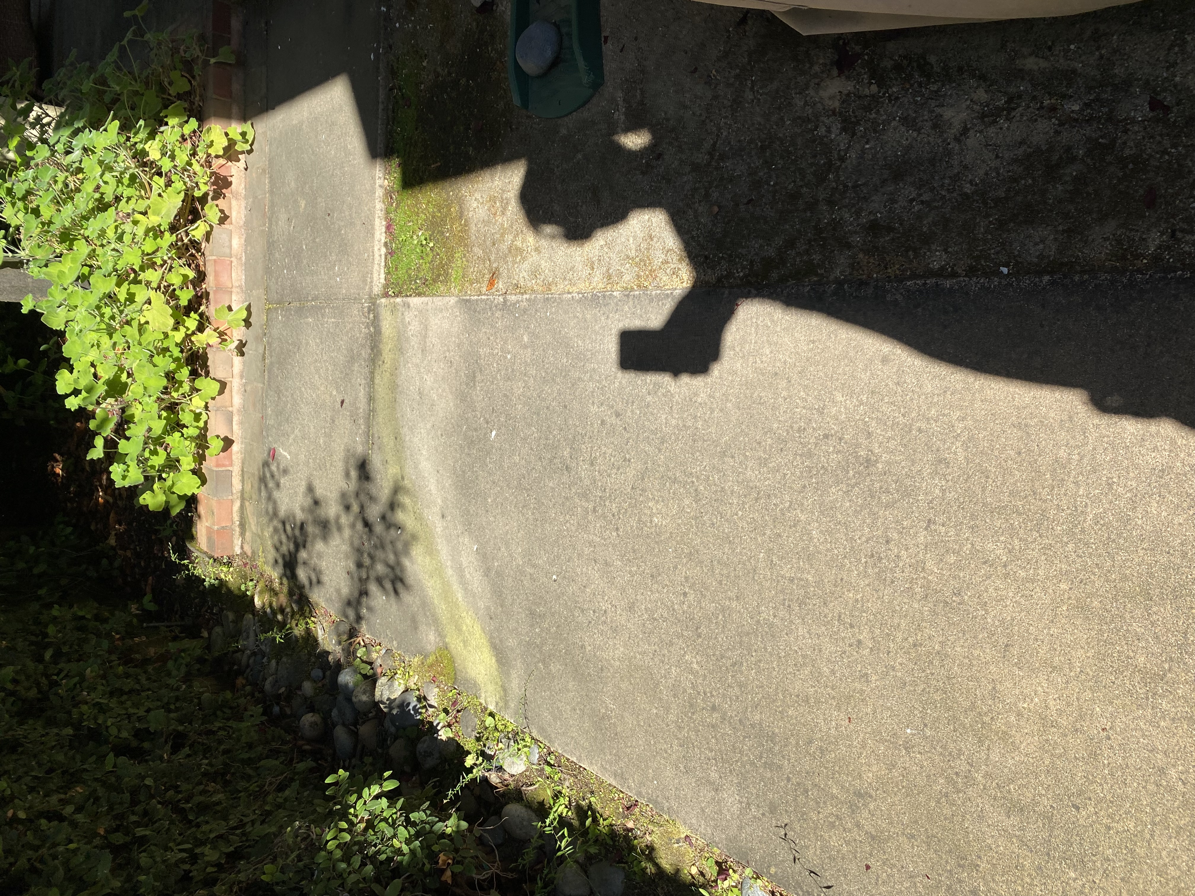 Before — Palo Alto hardscape surface dark with years of buildup