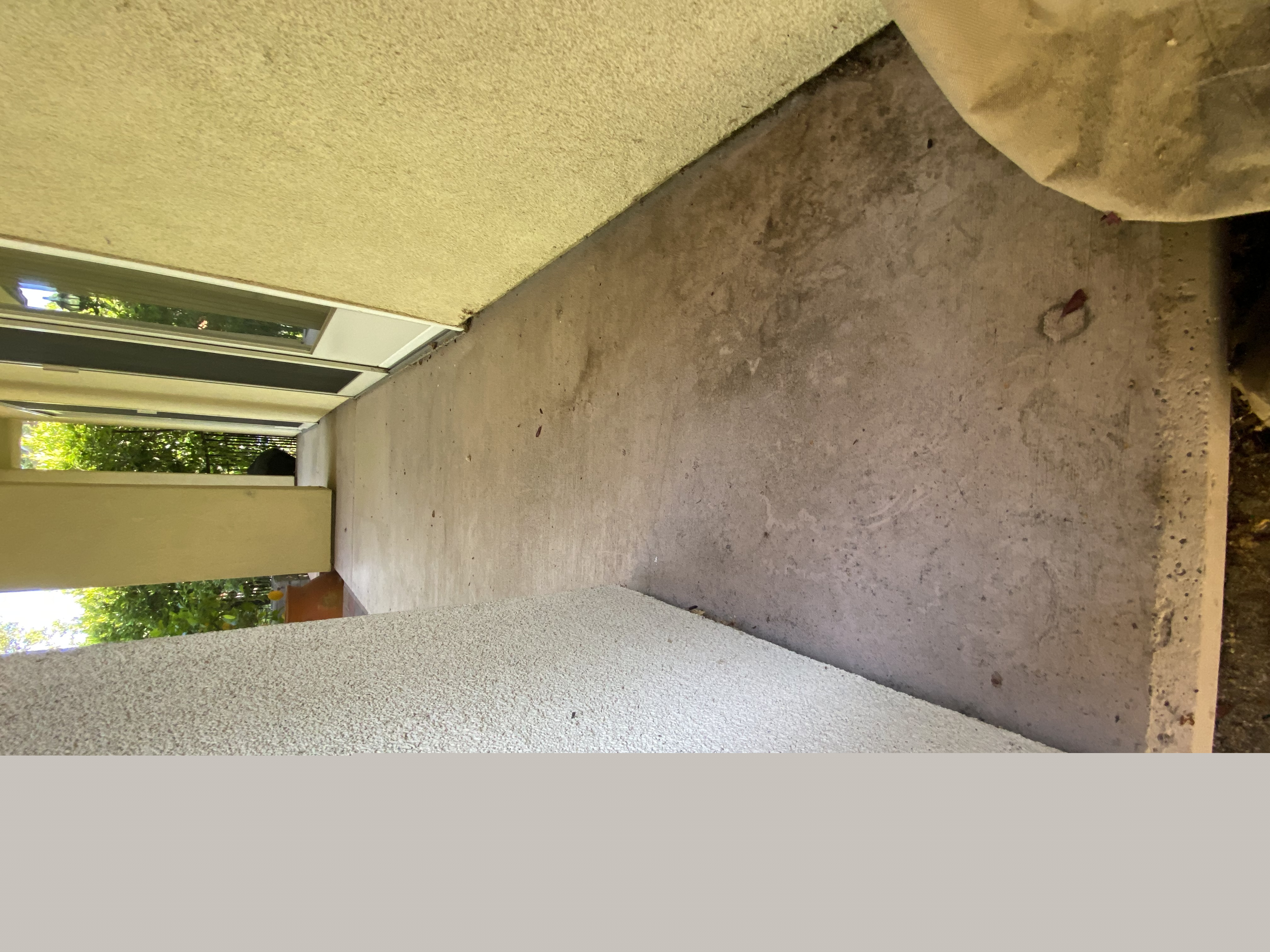 Before — Palo Alto concrete surface with moss and black staining