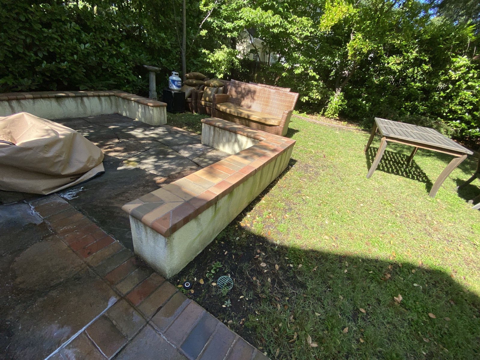 Before — dirty backyard concrete in Palo Alto prior to surface cleaning