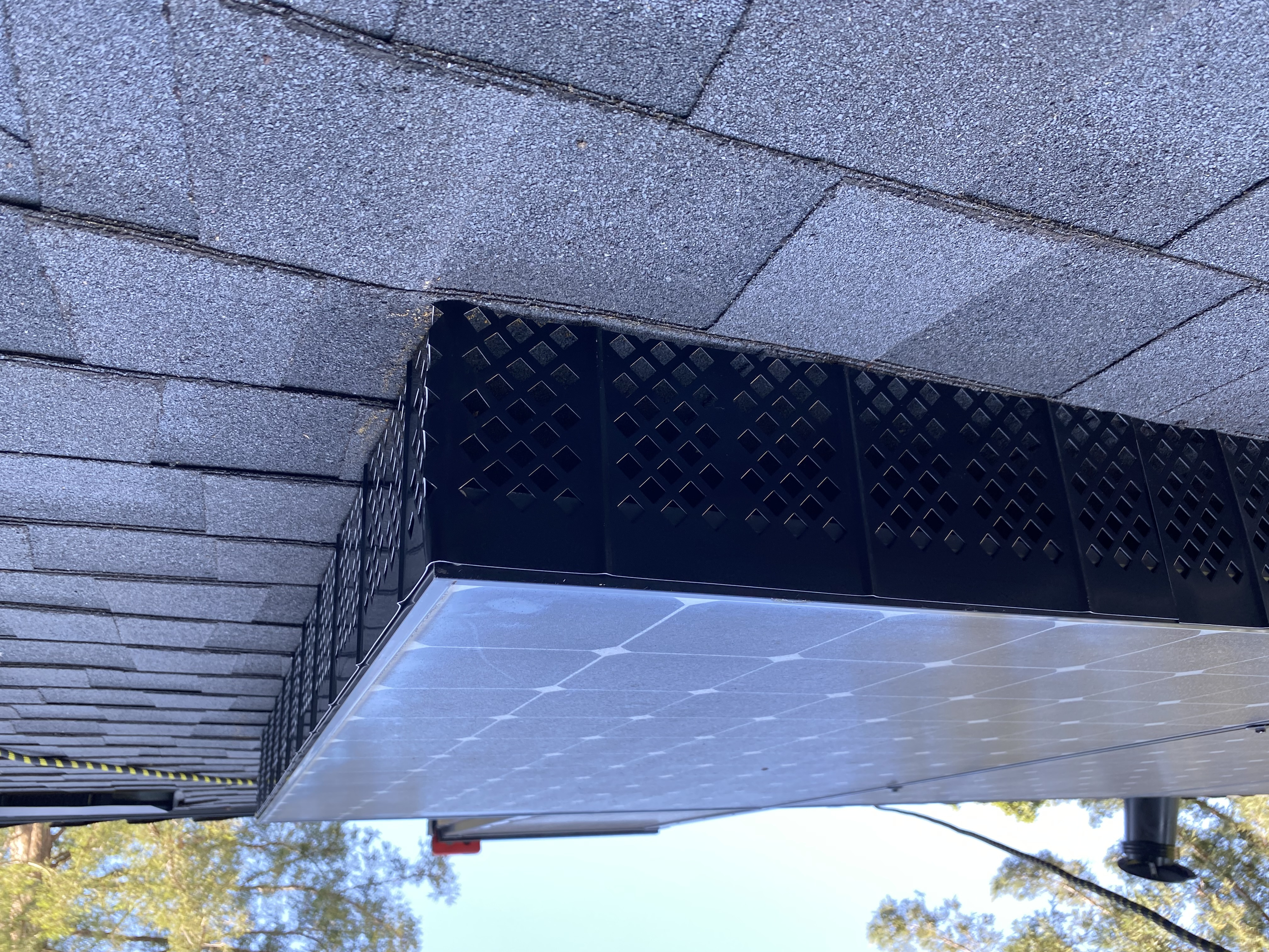 After — Palo Alto roofline exclusion complete, birds excluded