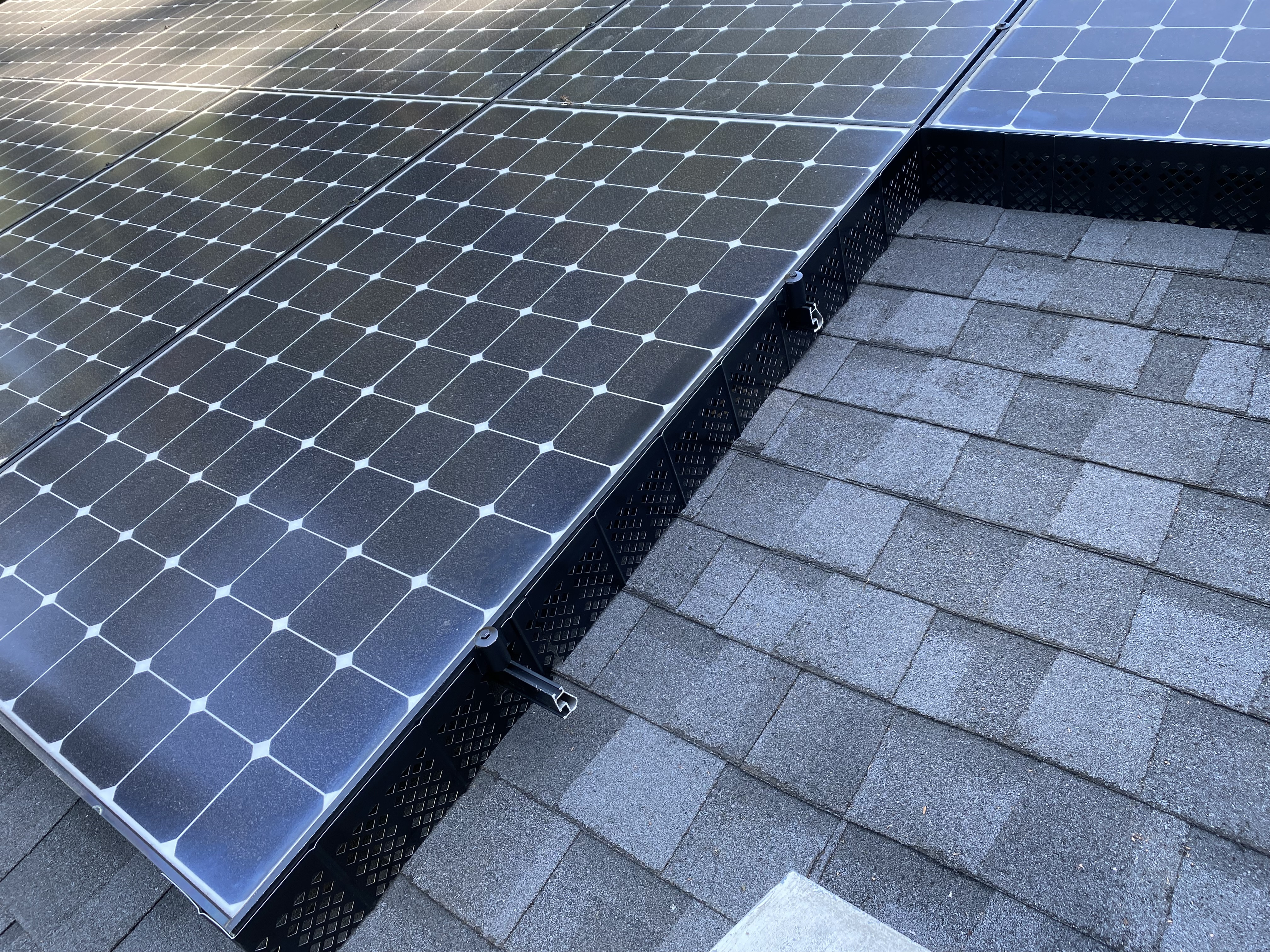 After — Palo Alto bird exclusion perimeter seal complete