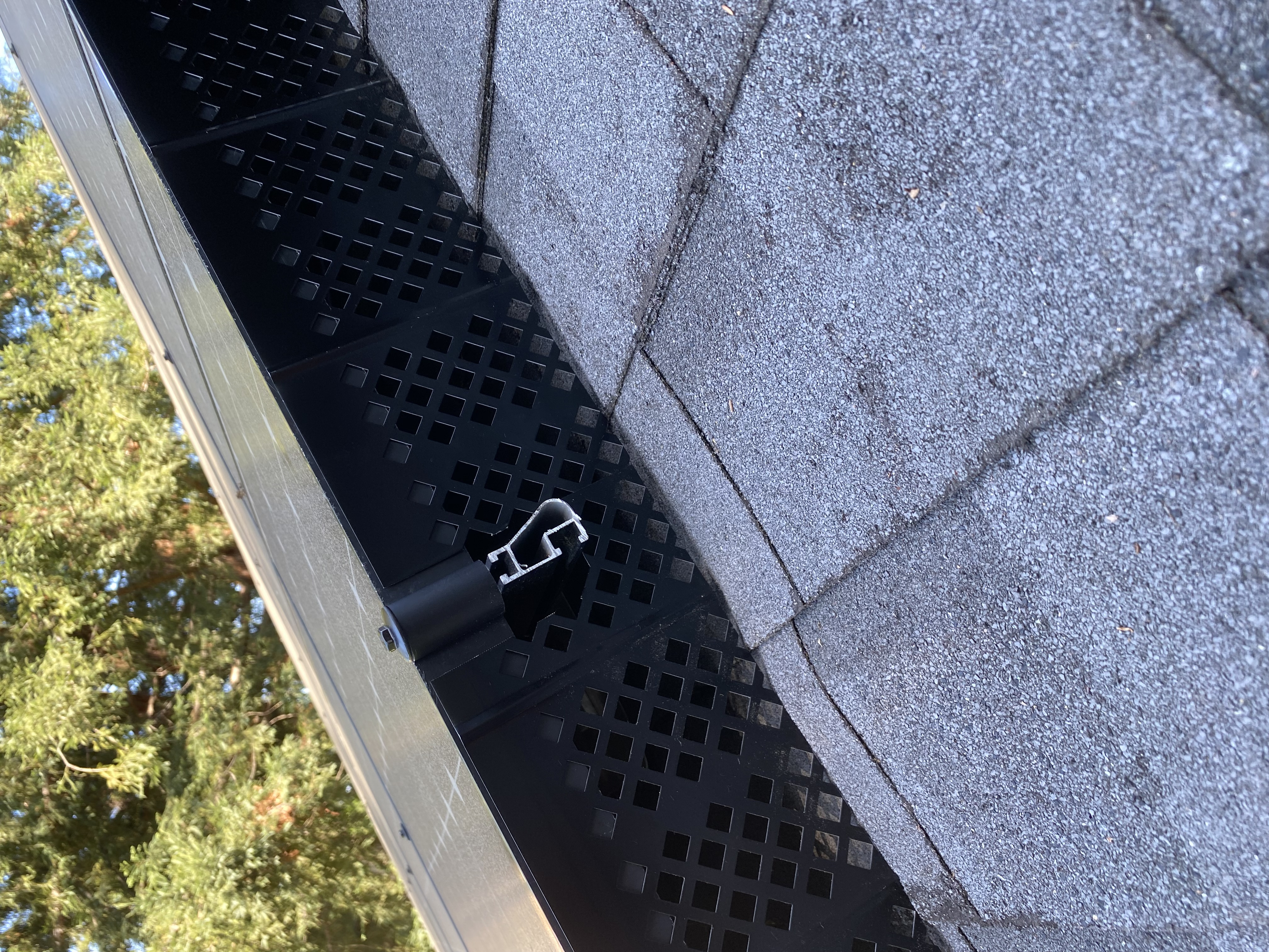 After — Palo Alto property bird proofed, eaves and roofline secured