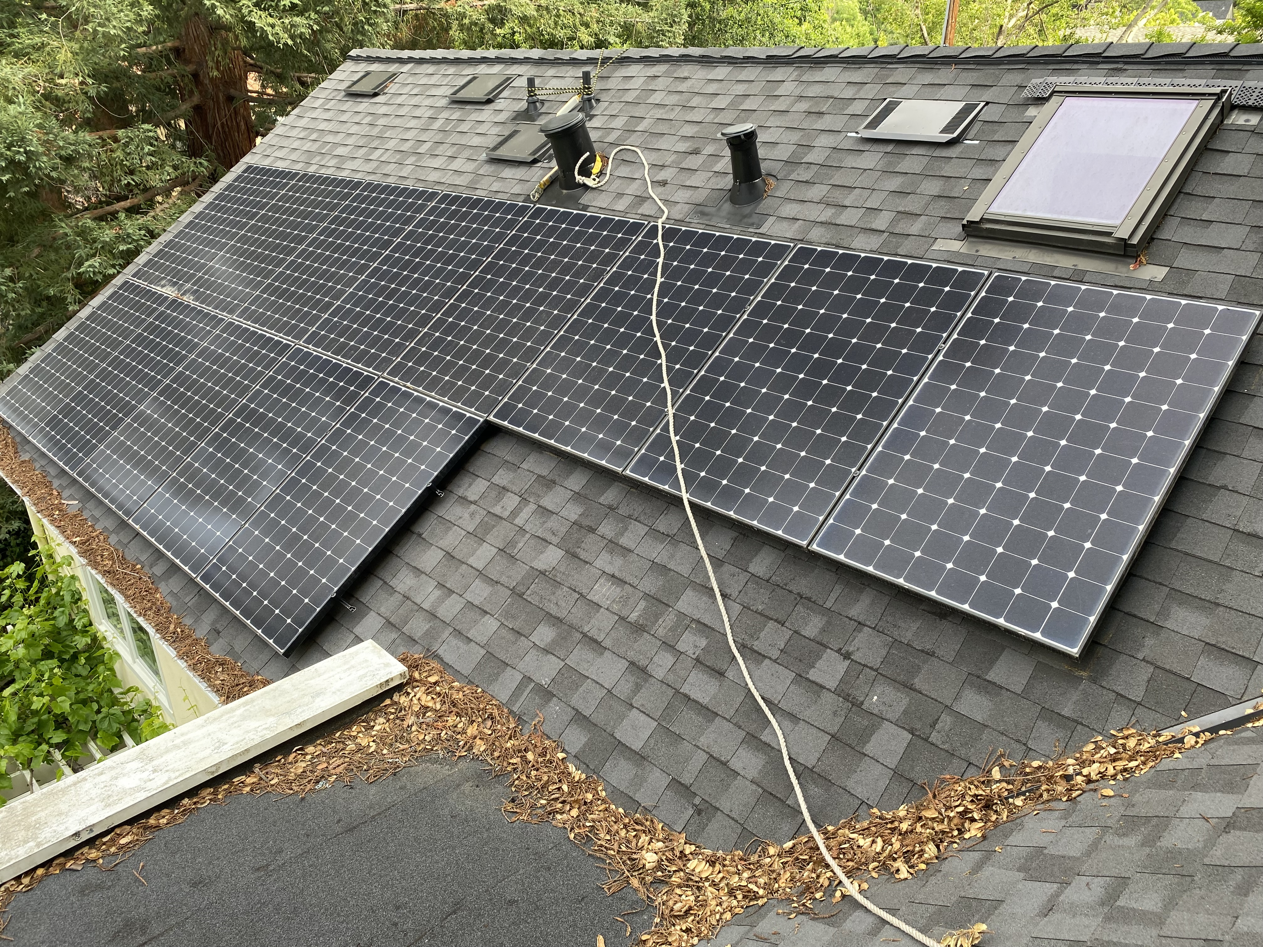 Before — Palo Alto roofline with active pigeon roost