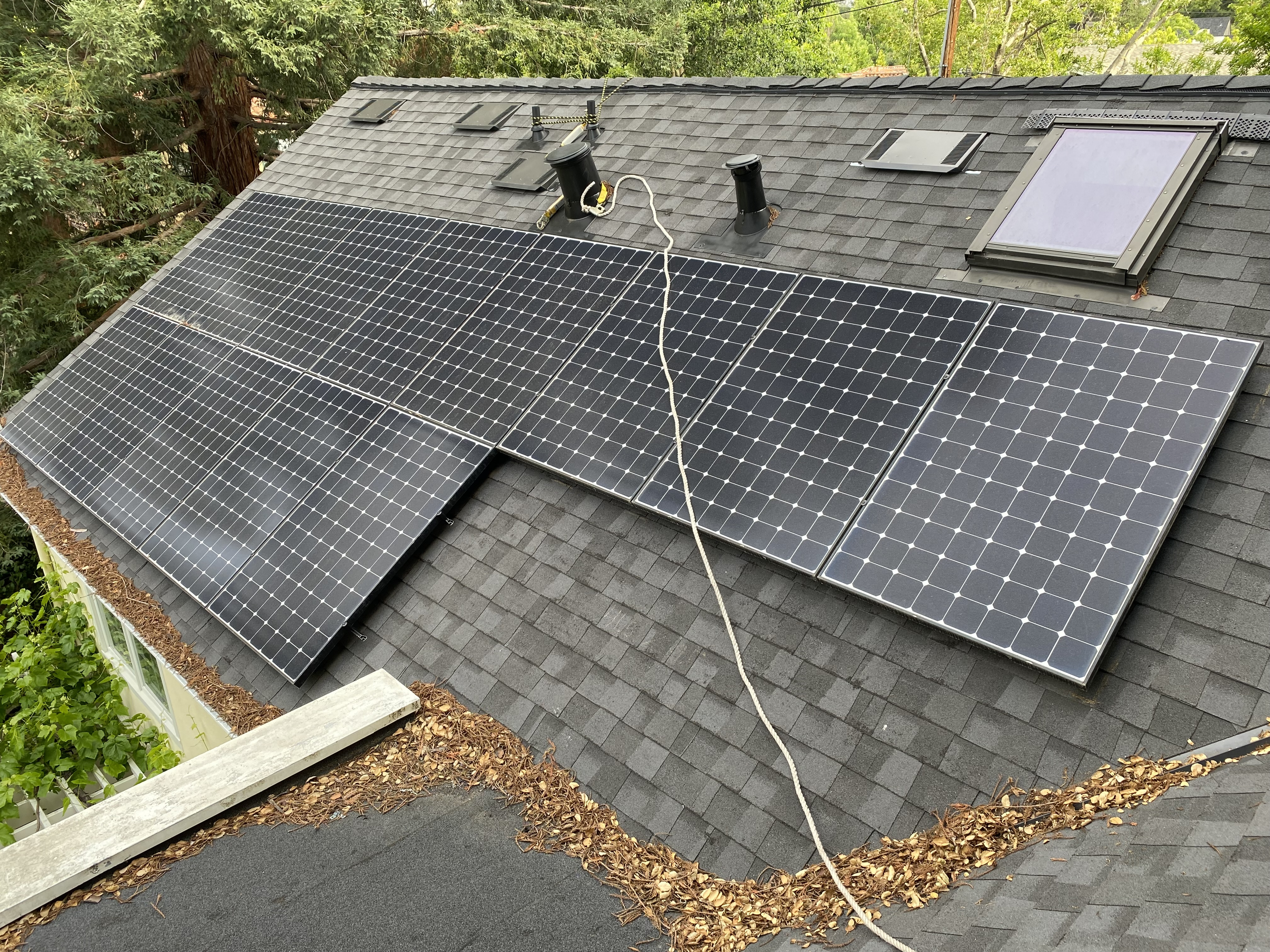 Before — Palo Alto solar panel gap with pigeon nesting