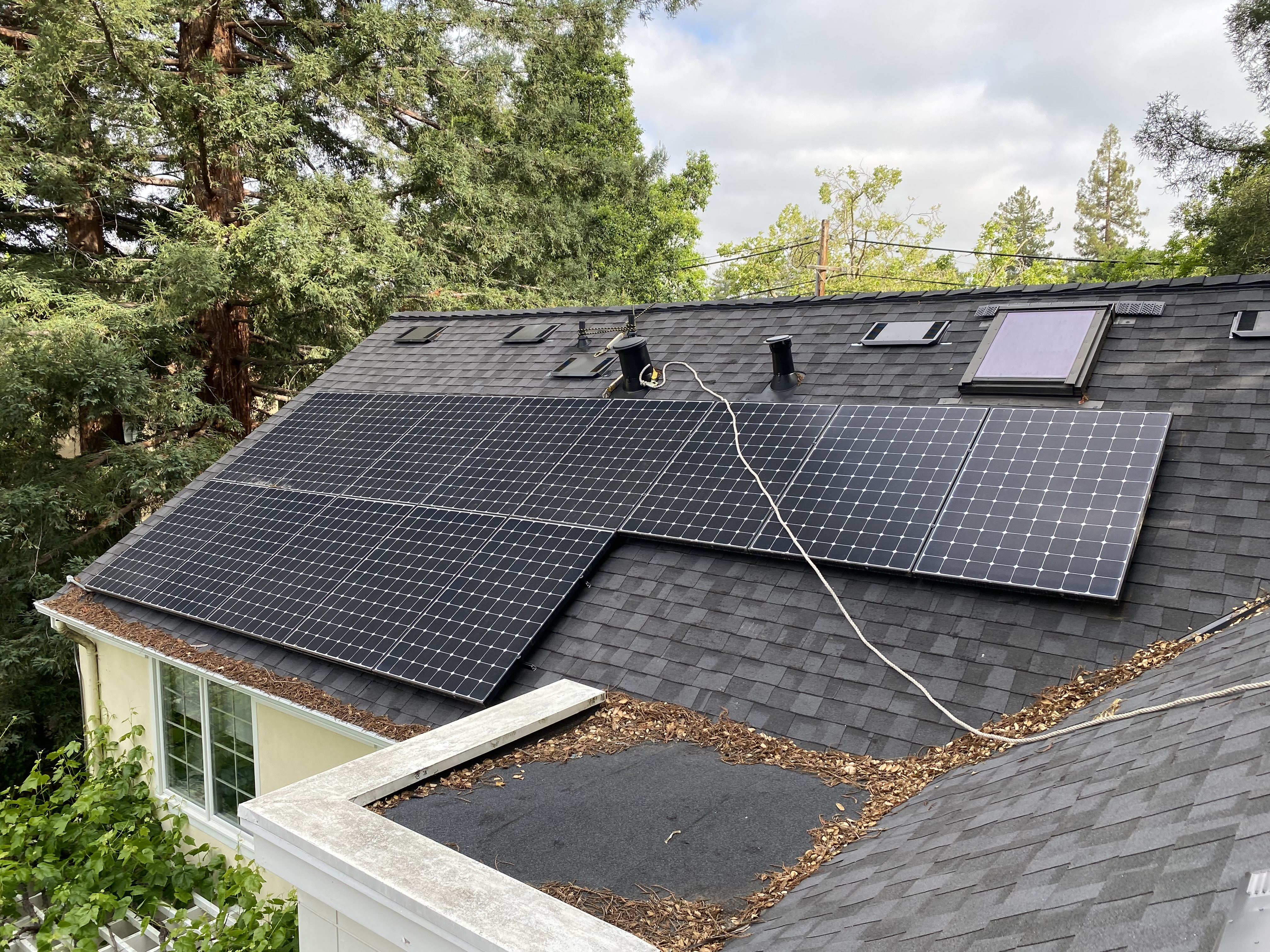Before — Palo Alto eave with heavy nesting material before bird proofing