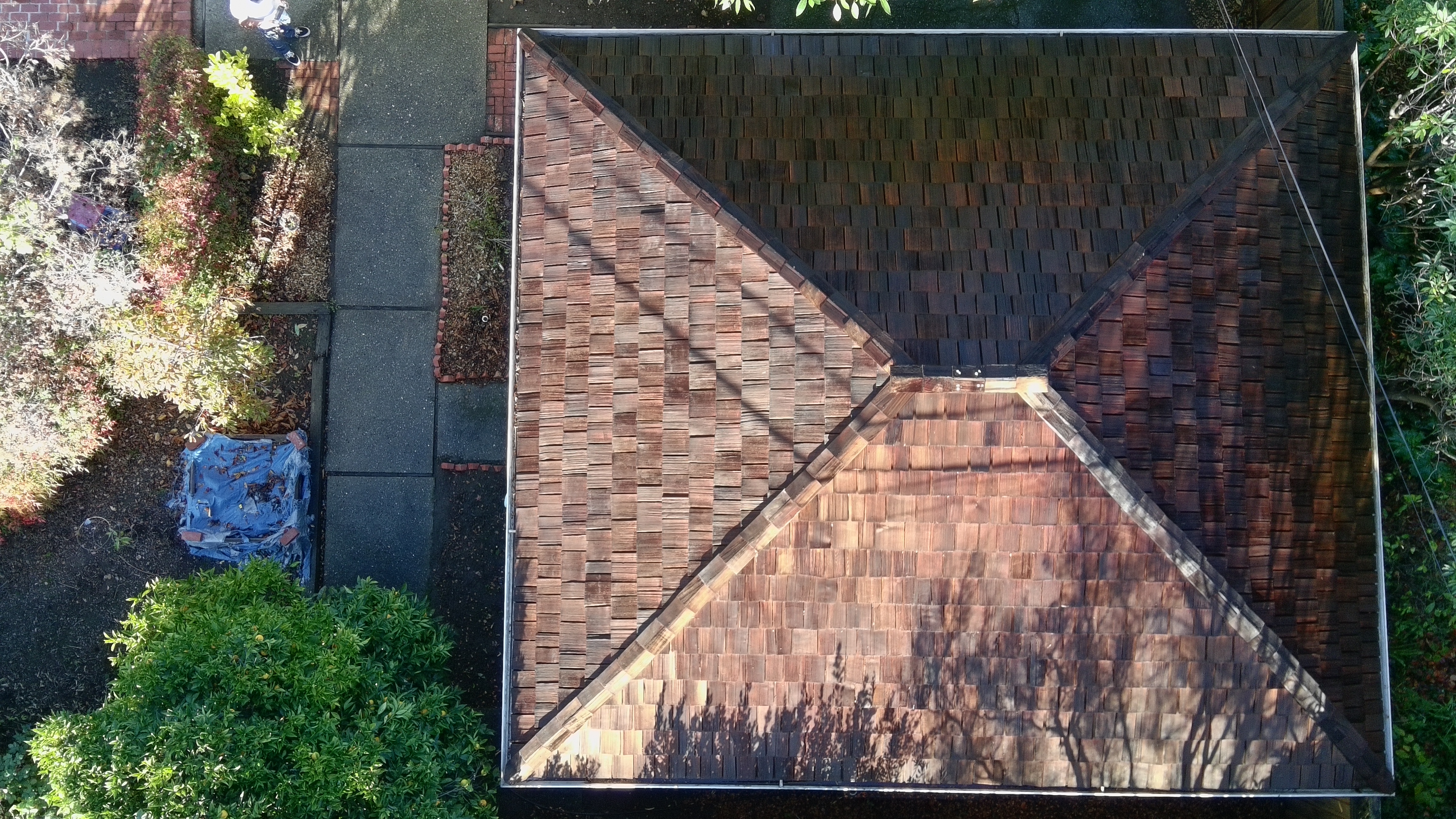 After — Palo Alto garage shake clean, biological growth eliminated
