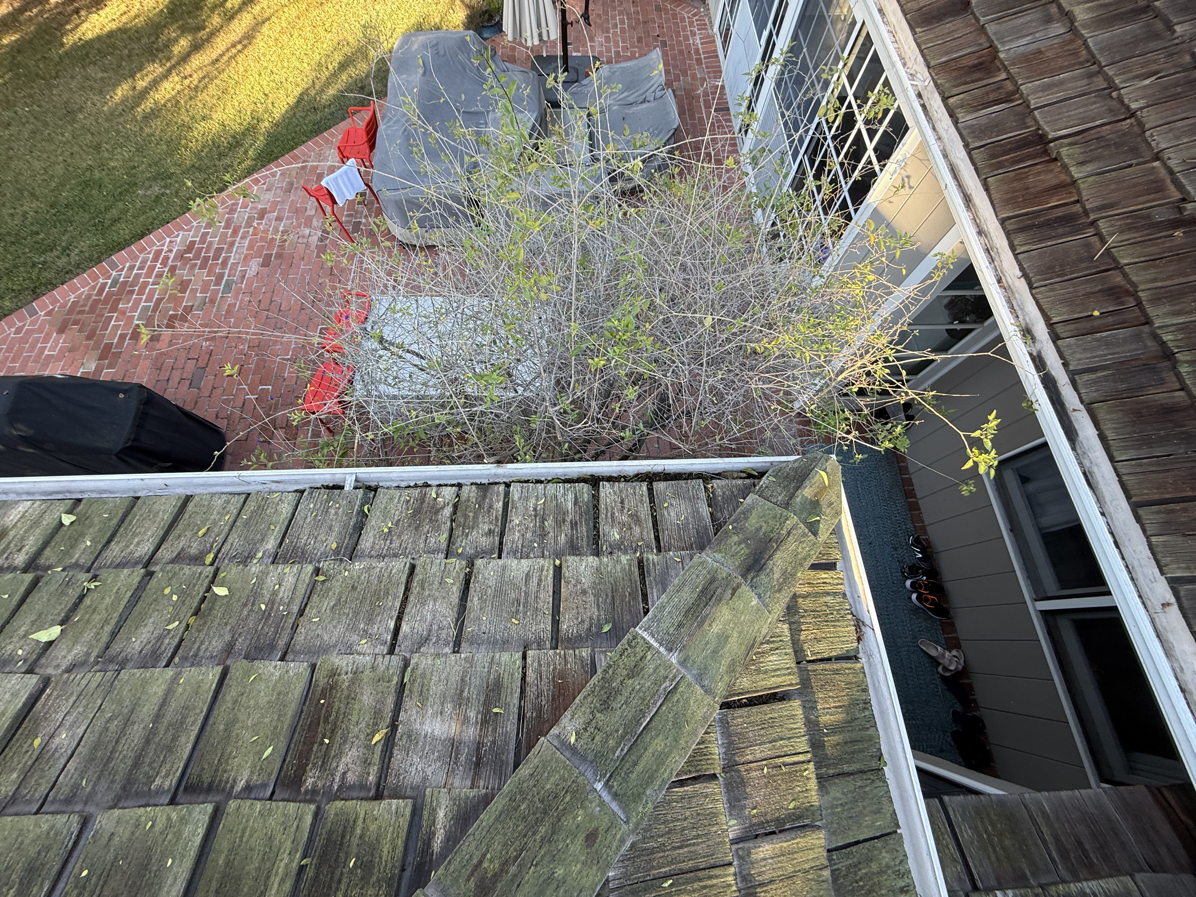Before — Palo Alto cedar shake house roof with moss before soft wash
