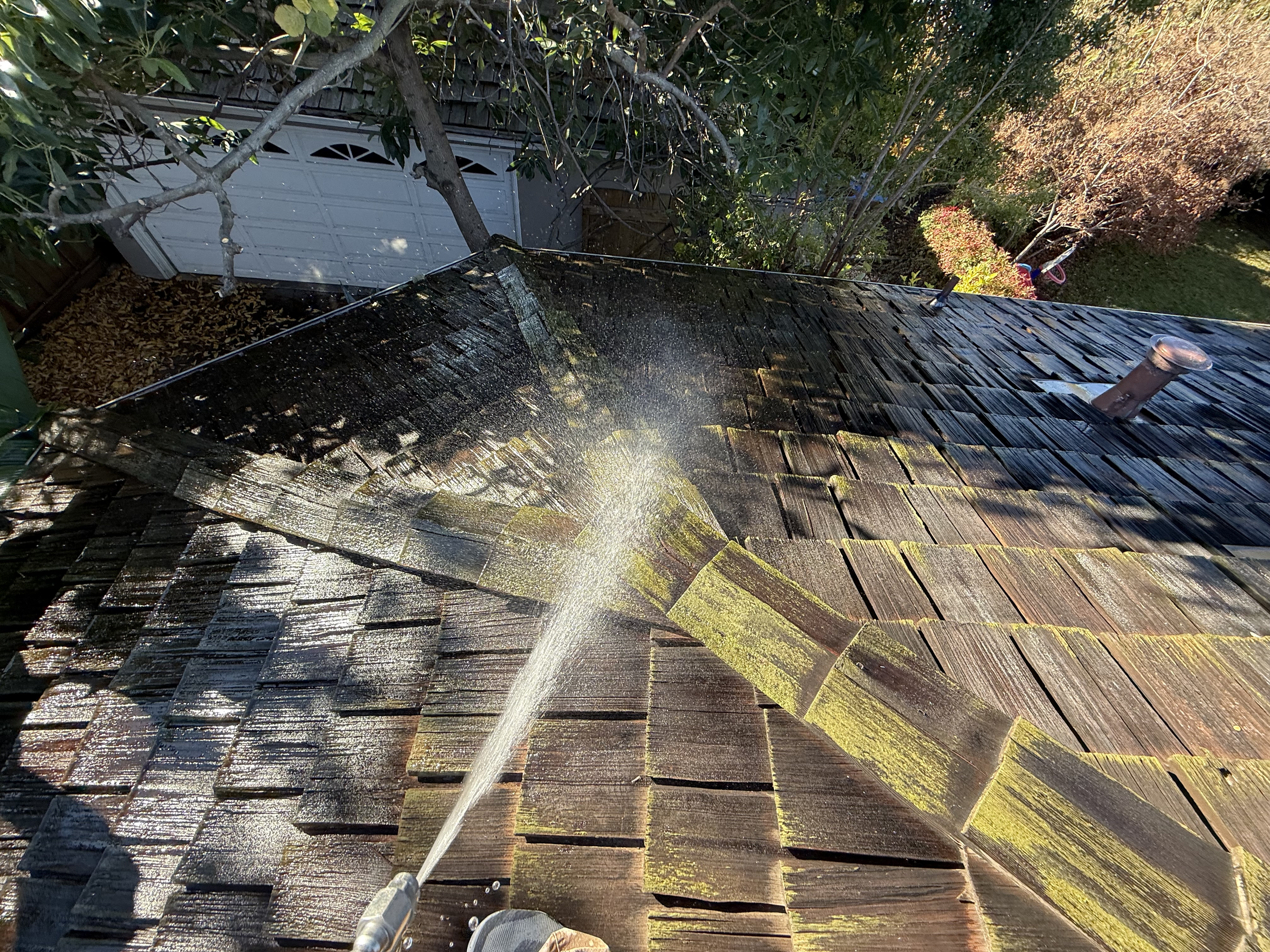 Before — Palo Alto wood shake roof with lichen and moss before treatment