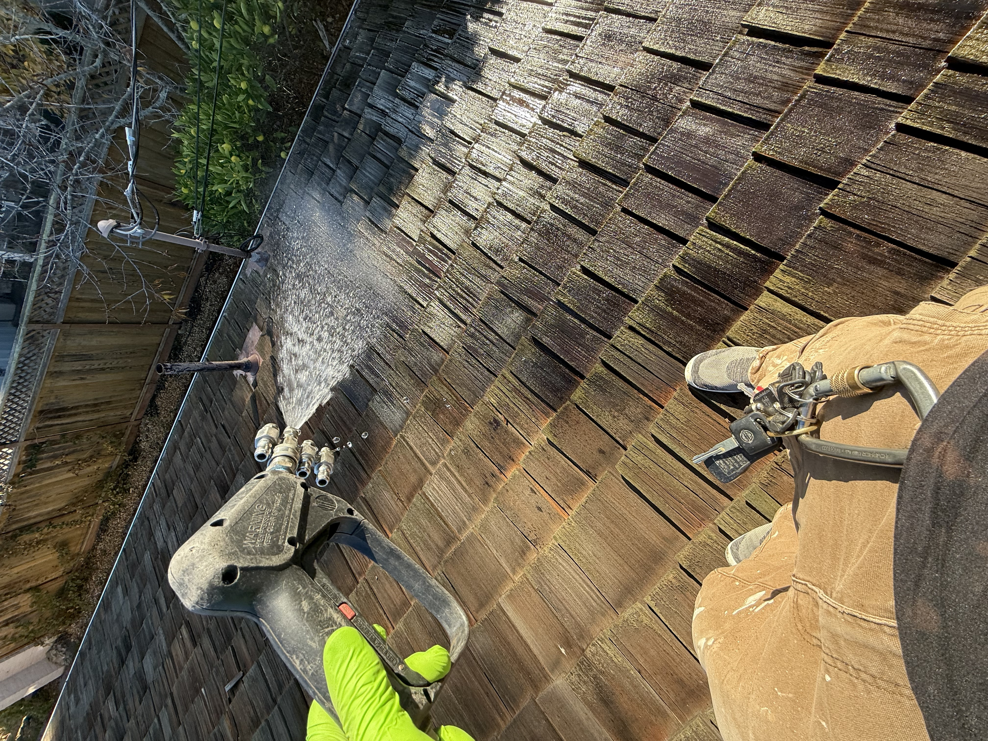 Before — Palo Alto cedar shake roof overview with heavy growth before service