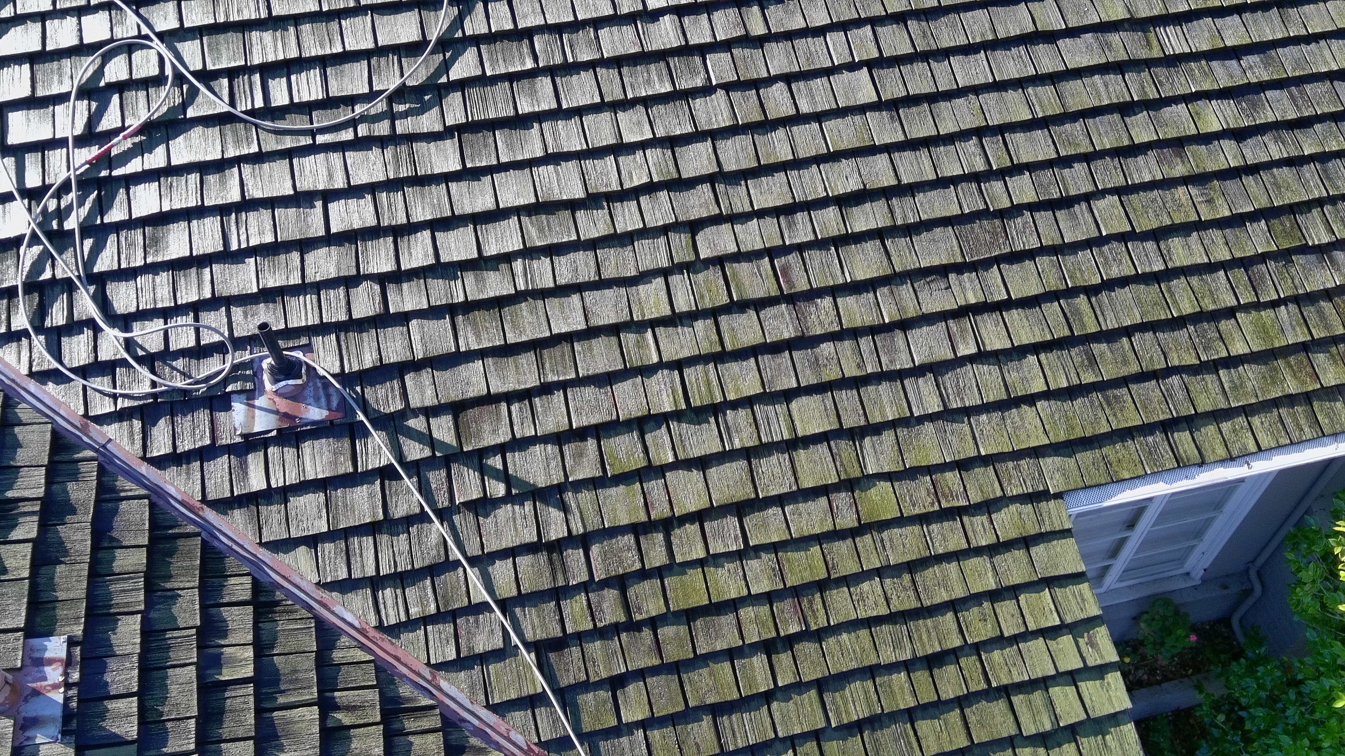 Before — Palo Alto wood shake roof detail showing lichen before wash
