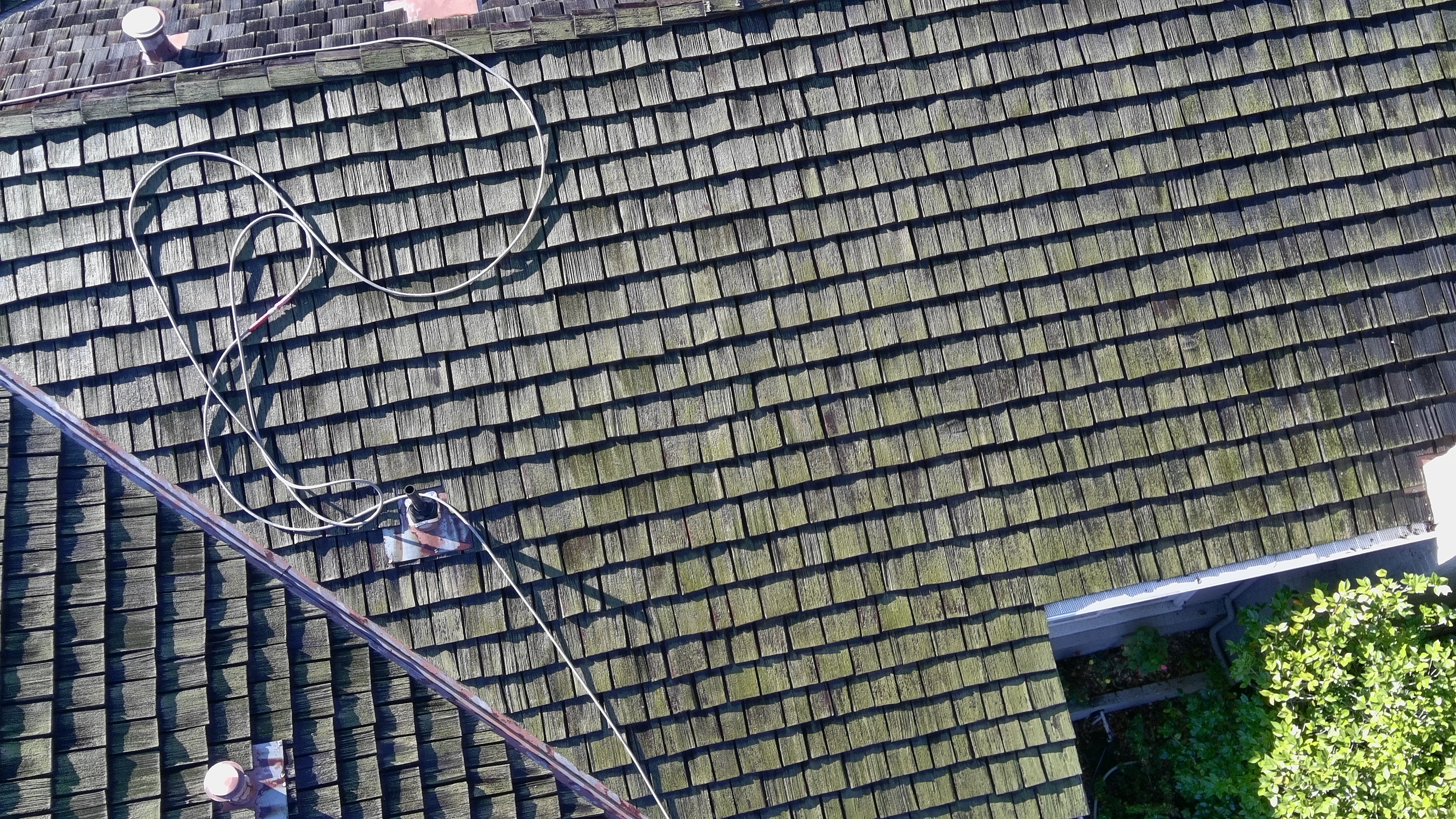 Before — Palo Alto cedar shake roofline with moss growth before soft wash
