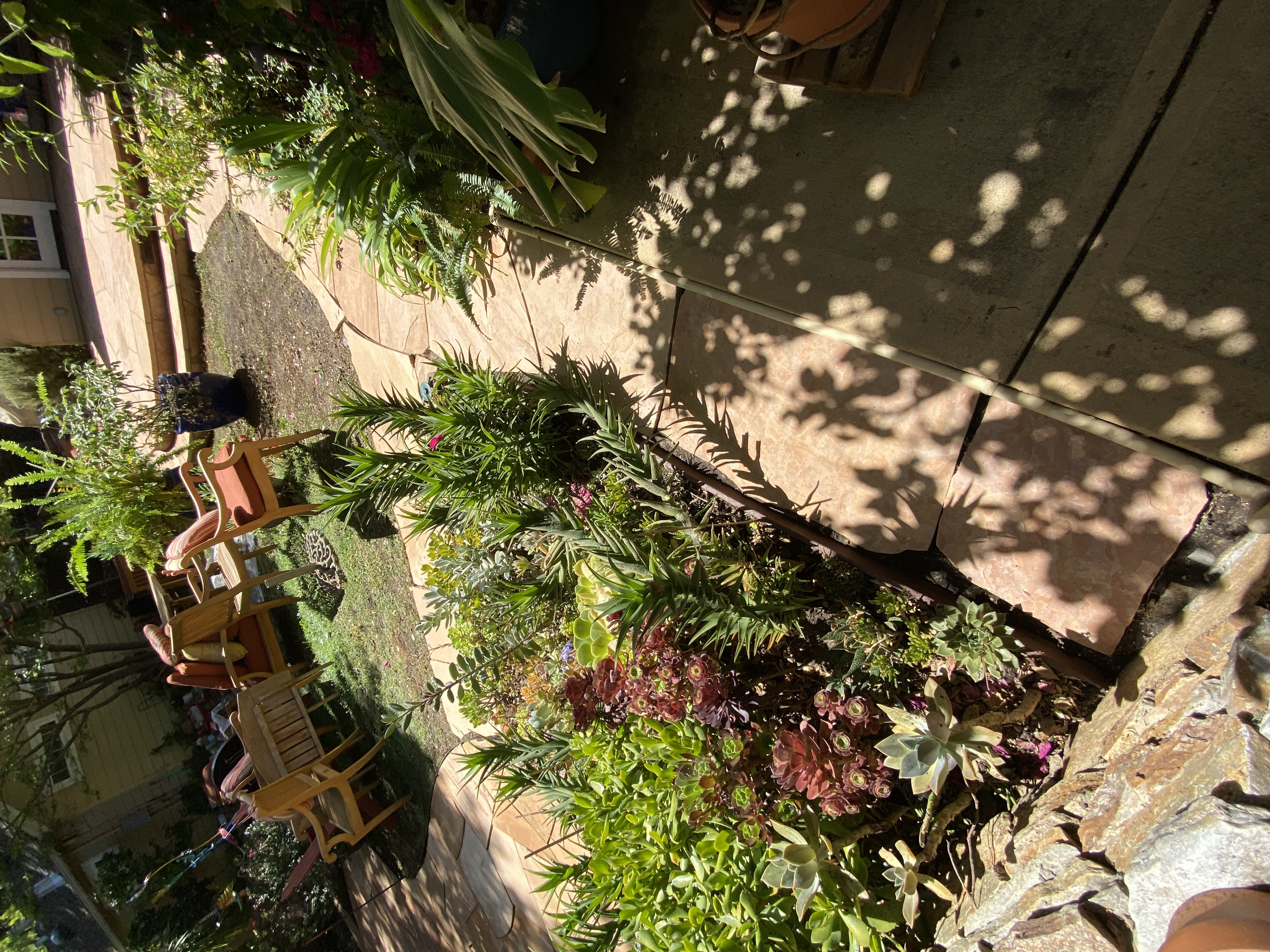 After — Palo Alto flagstone patio clean, original stone color restored