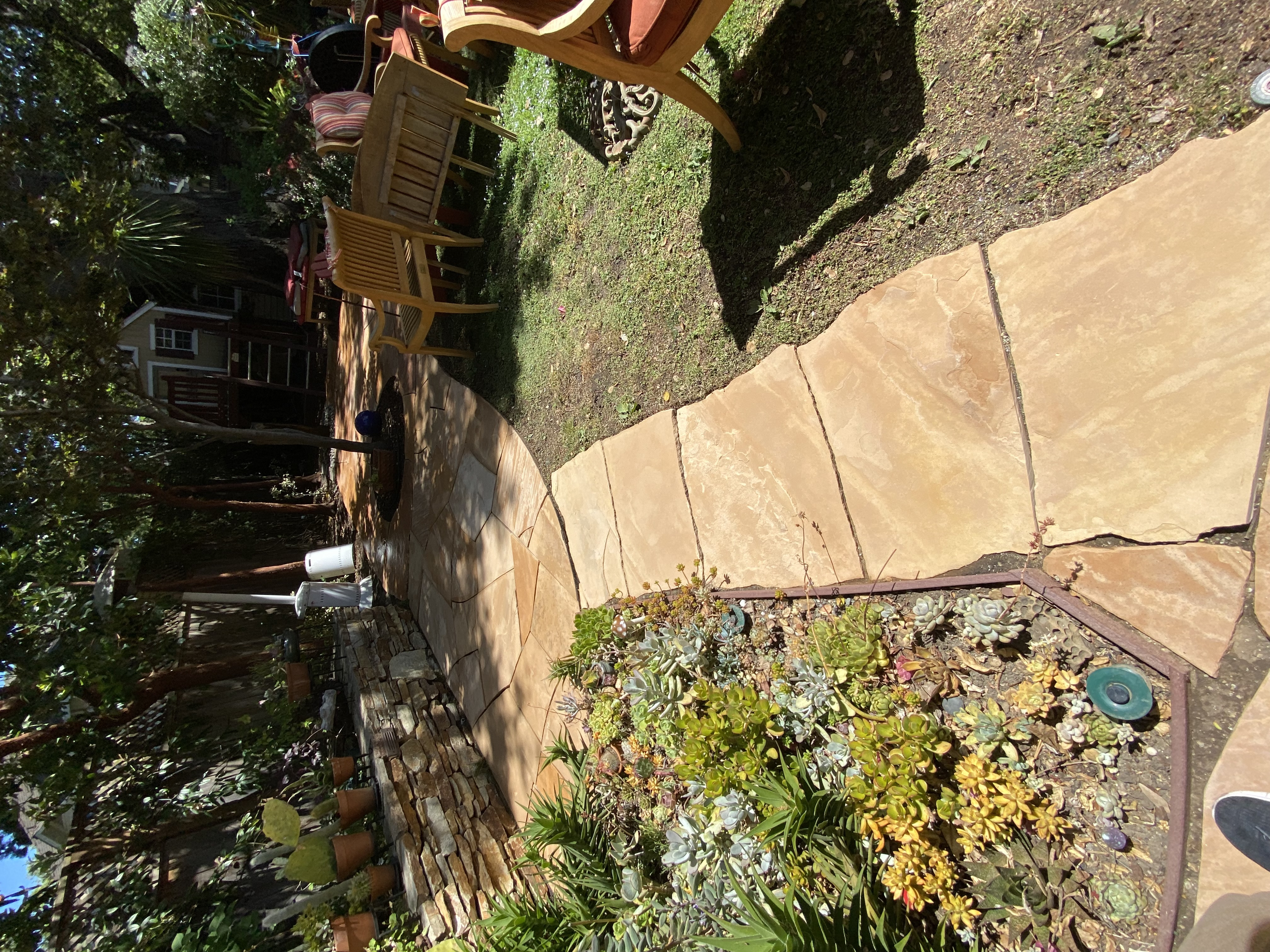 After — Palo Alto flagstone walkway clear of lichen and algae
