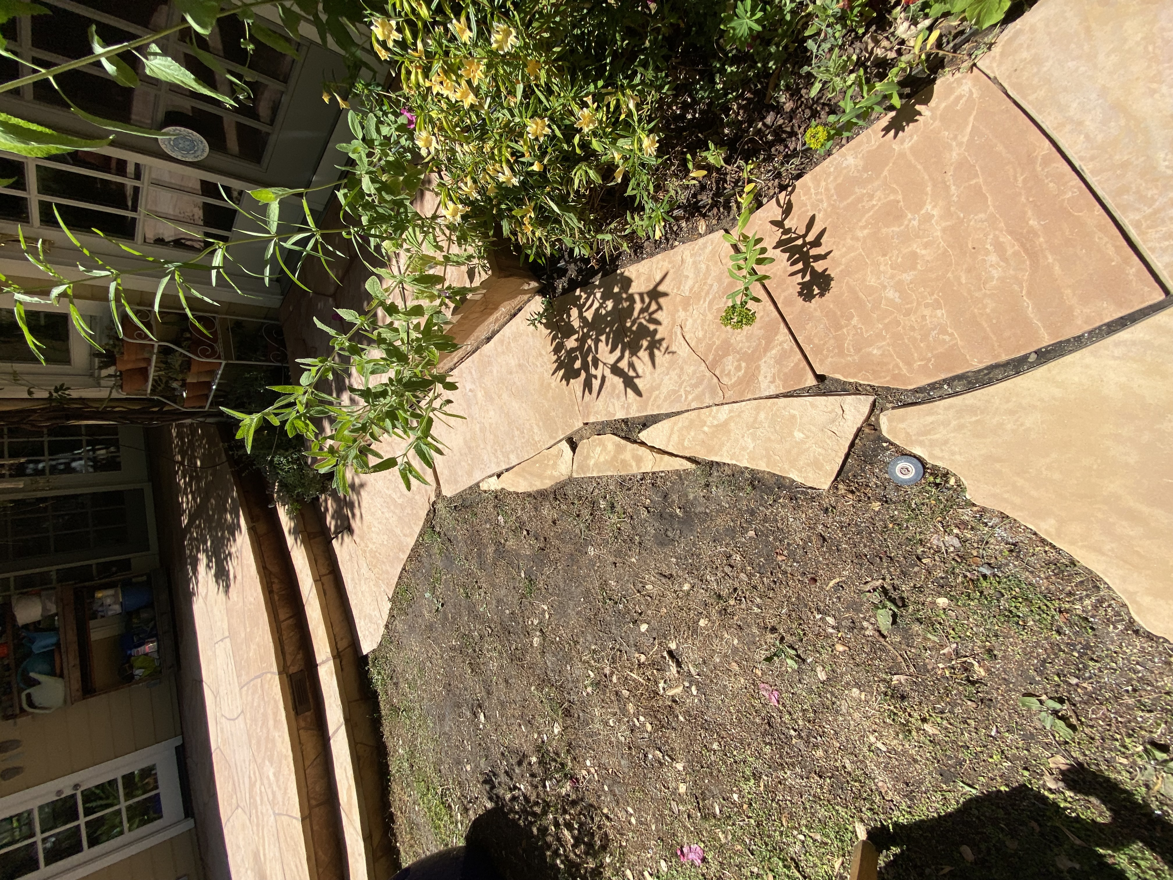After — Palo Alto natural stone surface clean, texture preserved