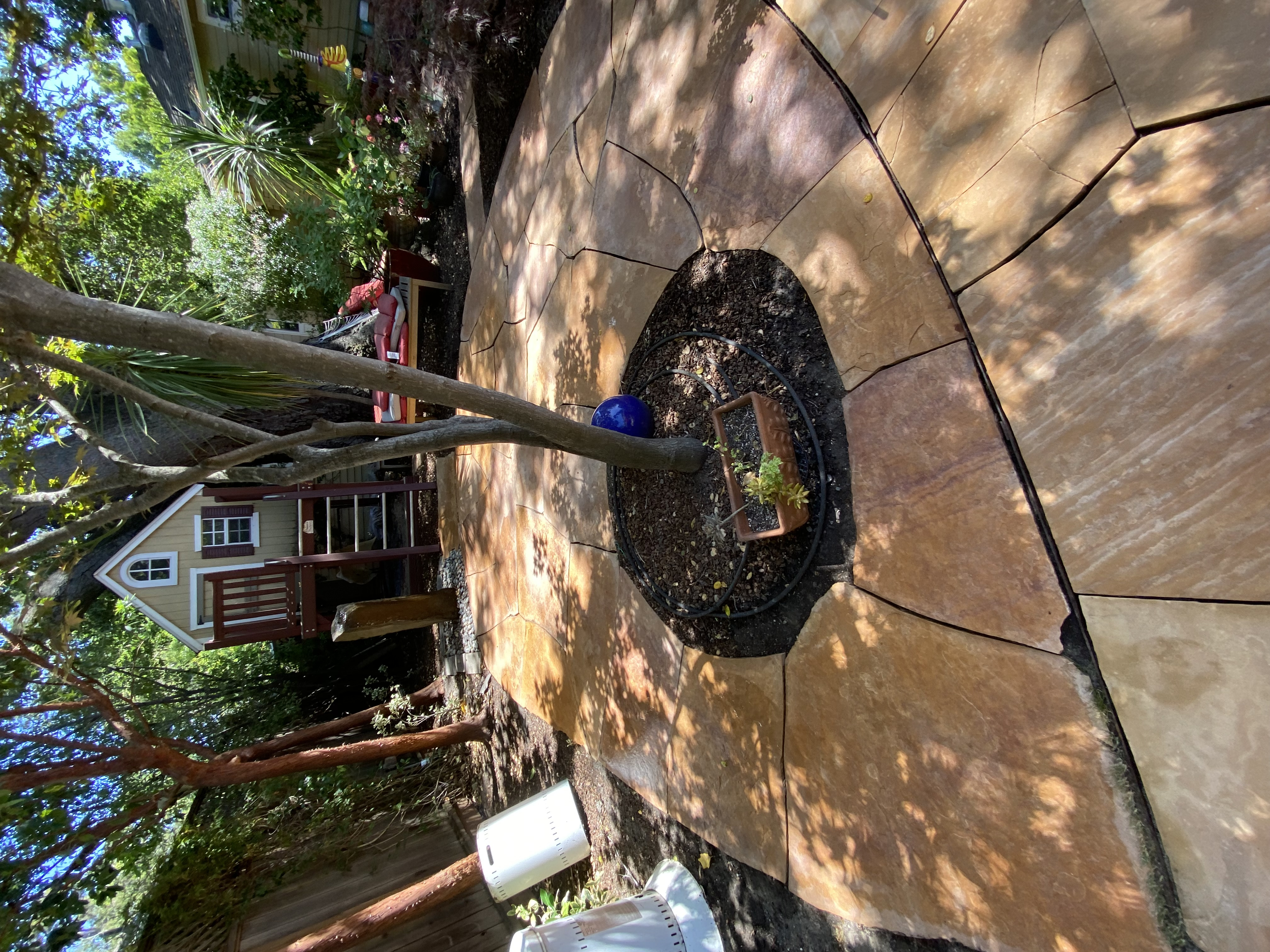 After — Palo Alto patio stone clean, joints clear of moss