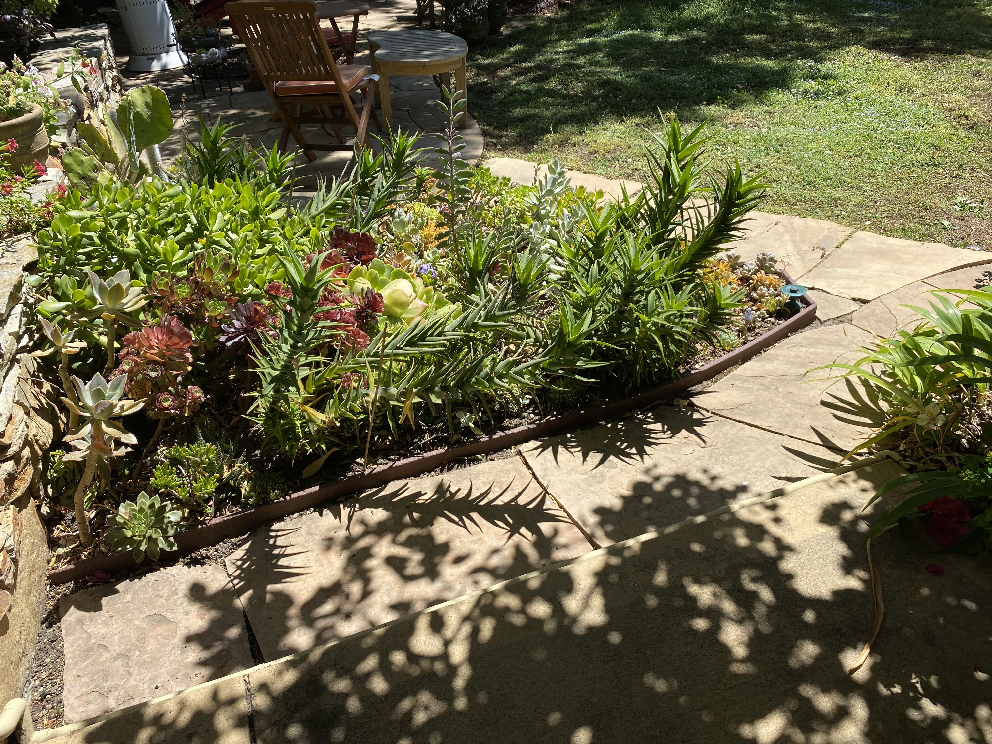 Before — Palo Alto flagstone patio covered in algae and organic staining