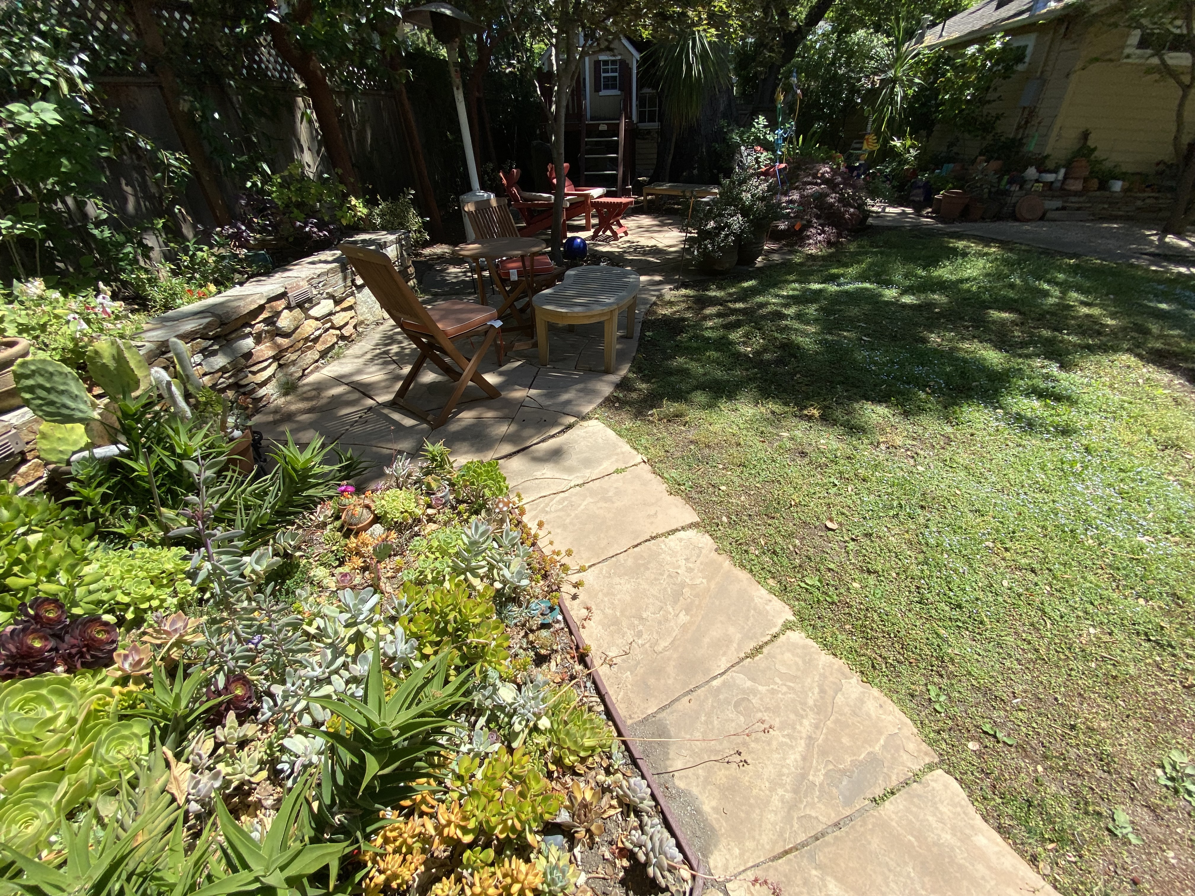 Before — Palo Alto natural stone surface darkened by algae and moisture
