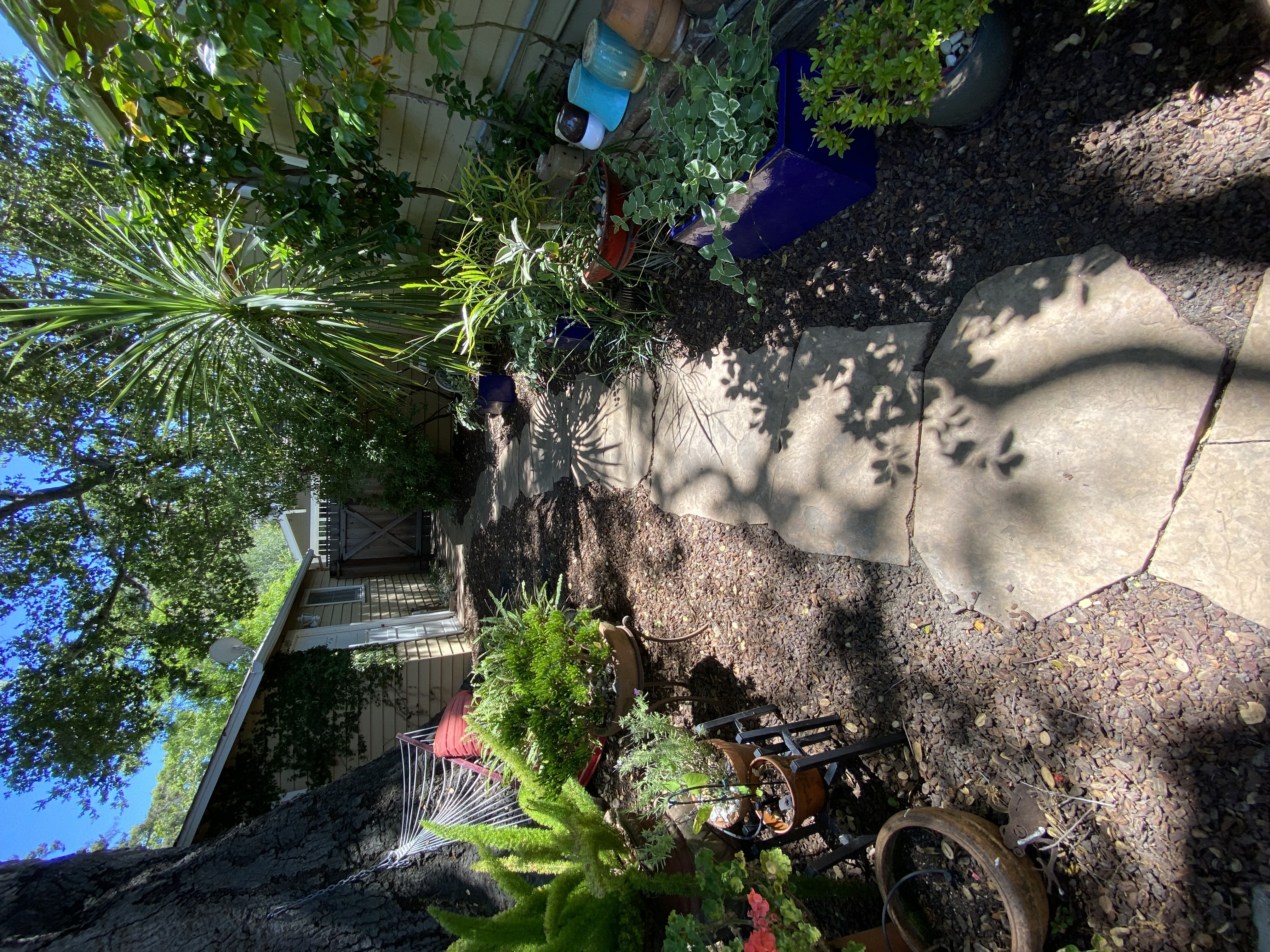 Before — Palo Alto patio stone surface covered in organic buildup and moss