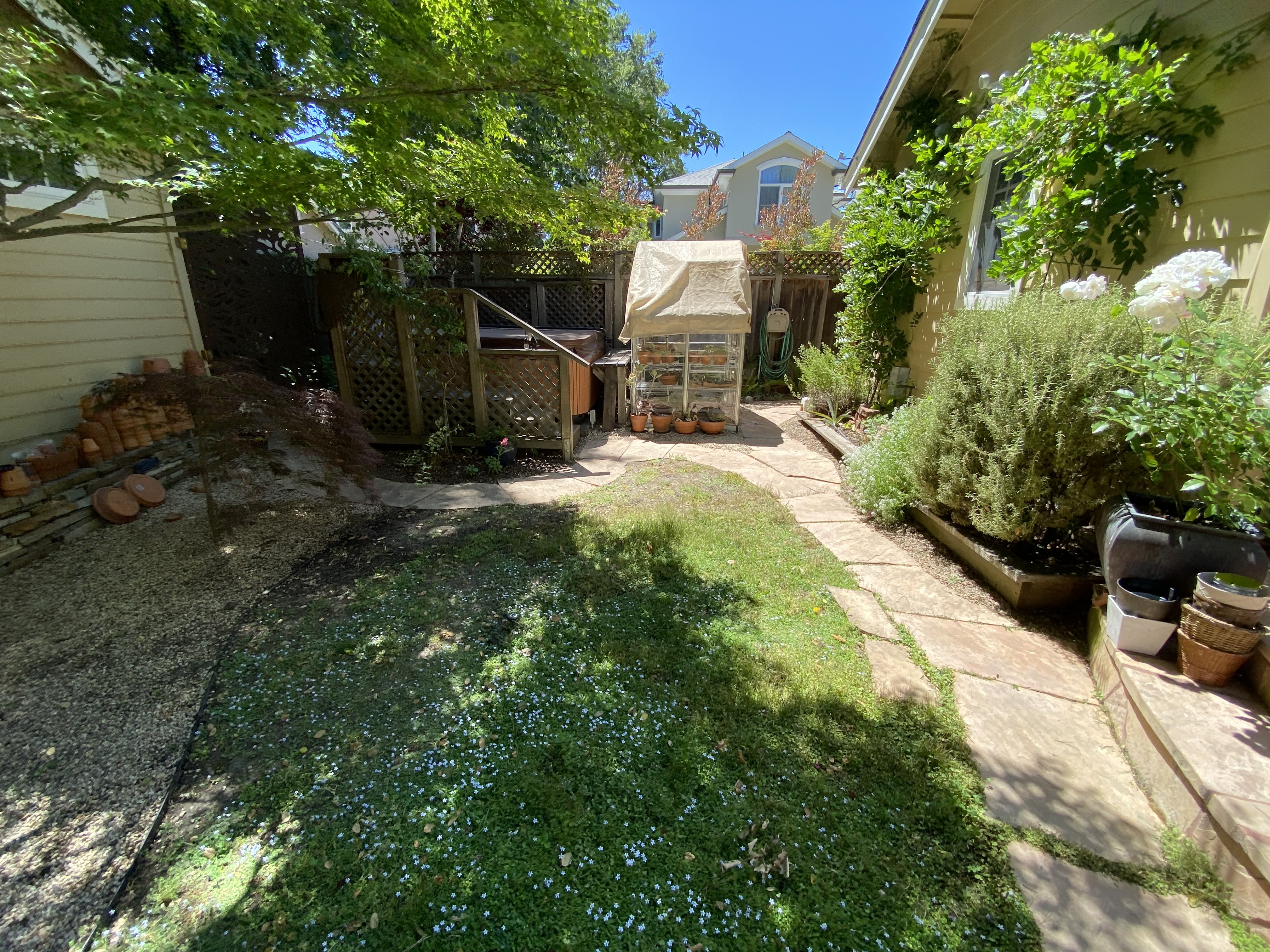 Before — Palo Alto natural stone walkway with heavy biological growth