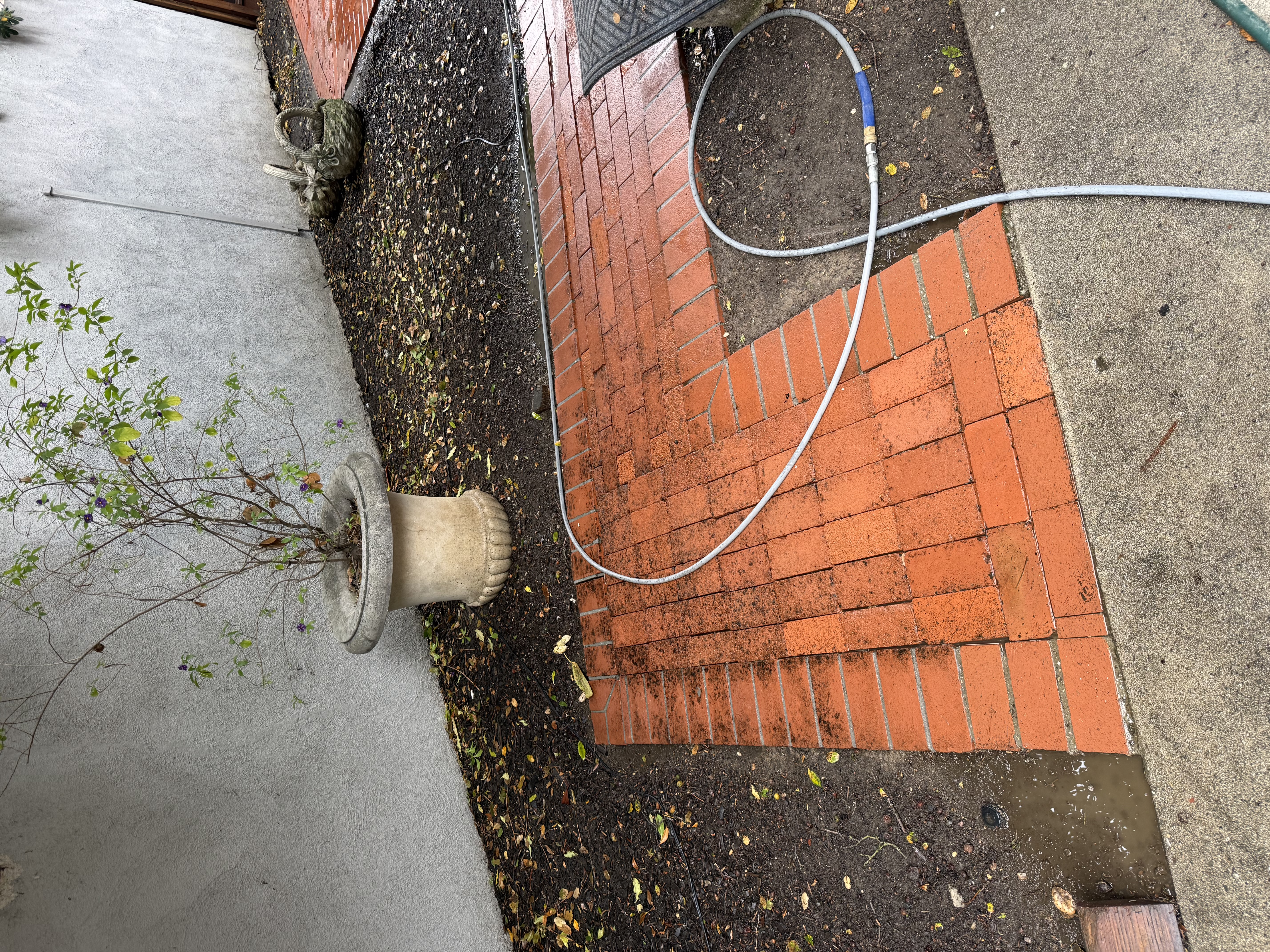 After — Palo Alto patio clean after pressure washing