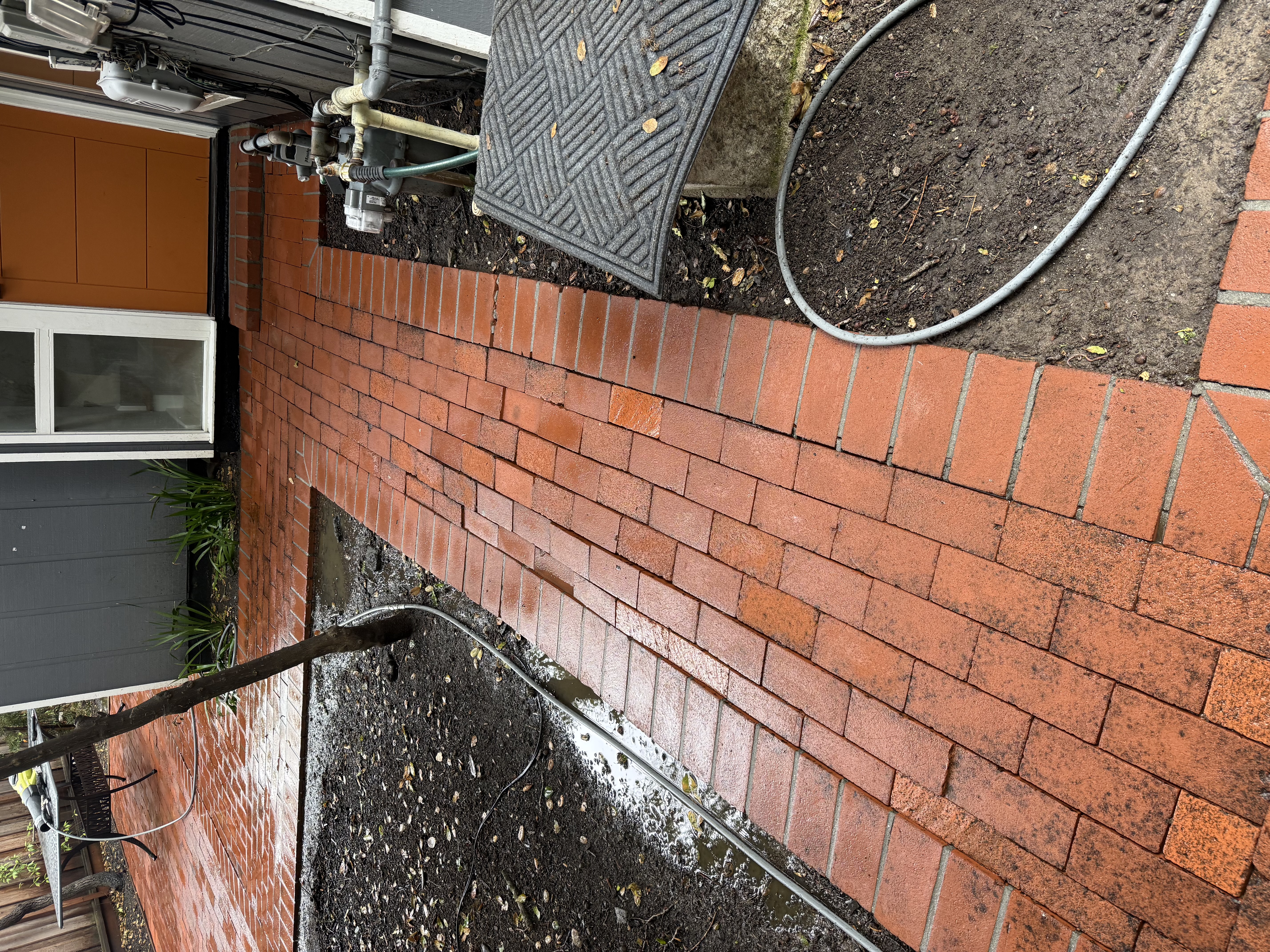 After — Palo Alto walkway concrete clean after washing, algae removed
