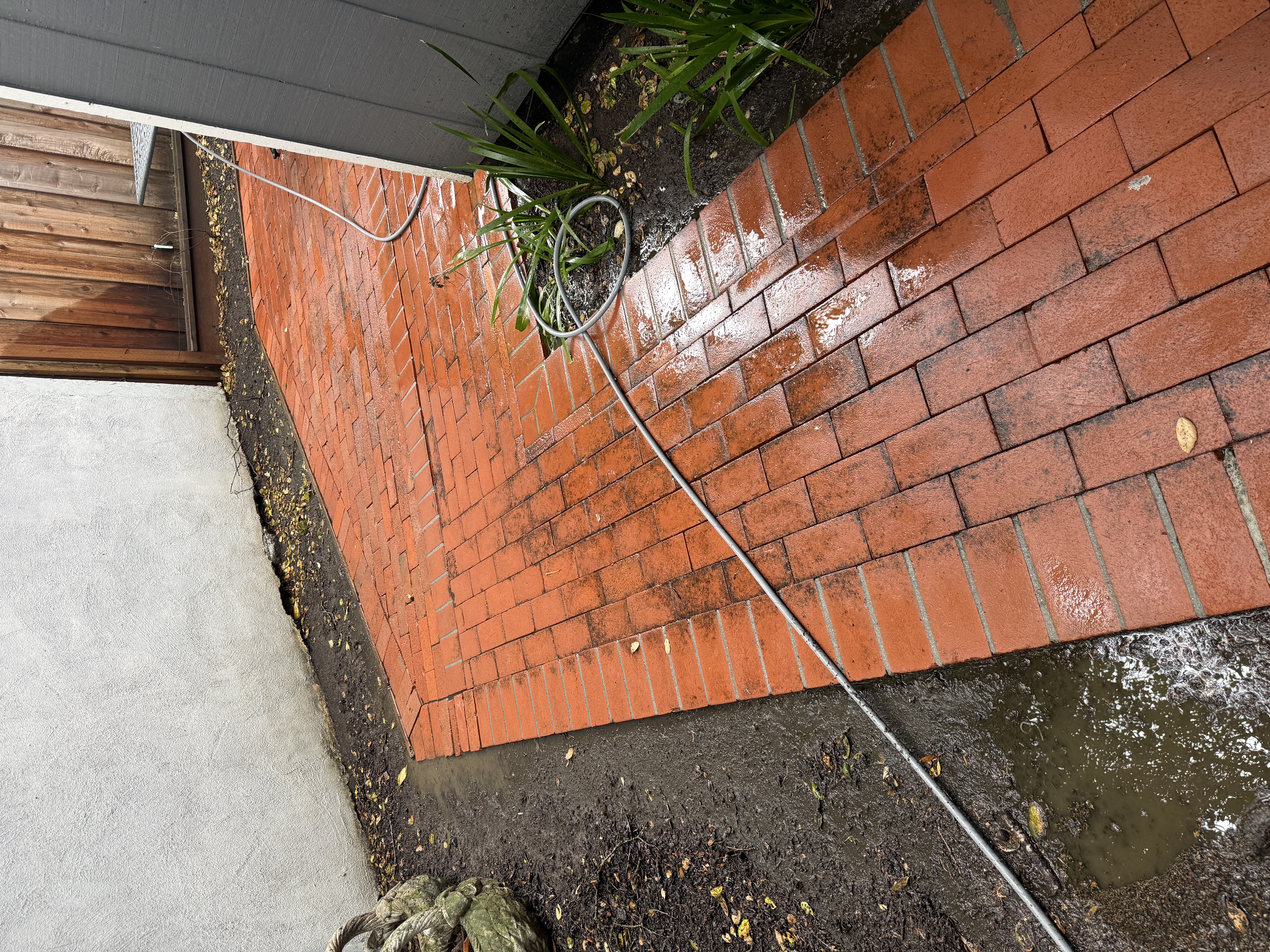 After — Palo Alto patio surface restored, organic growth removed