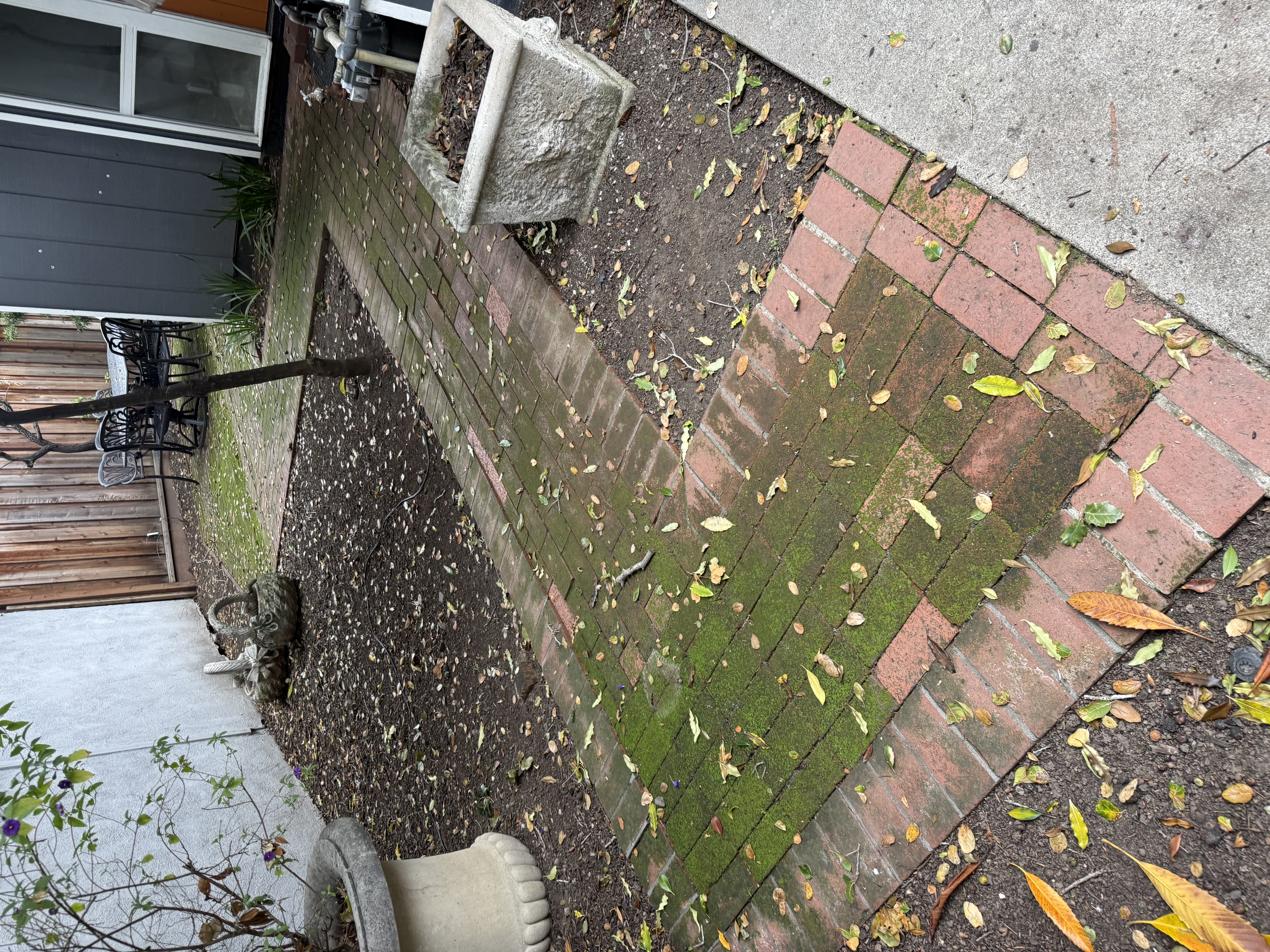 Before — Palo Alto patio with algae film and dirt accumulation before pressure wash