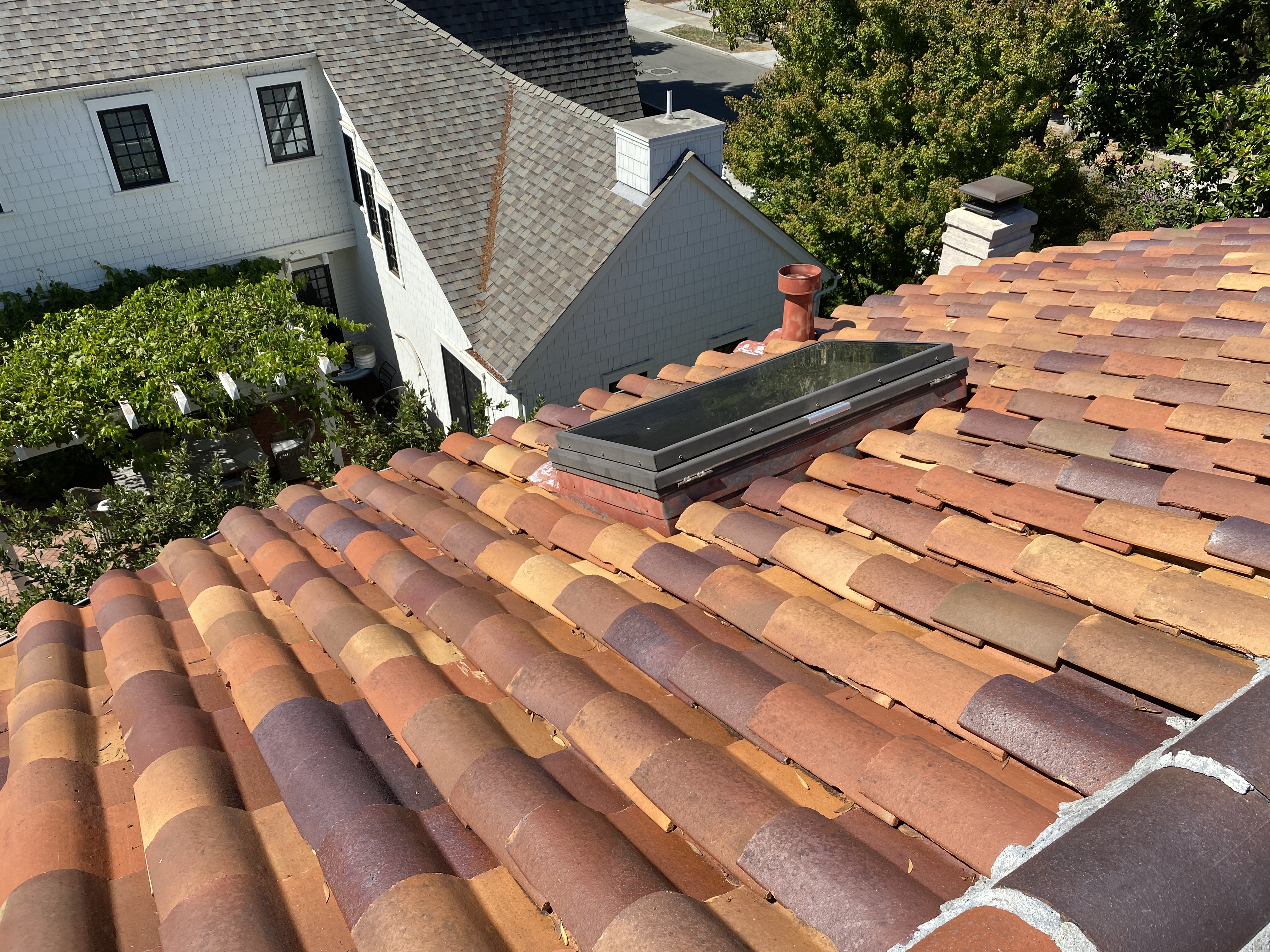 After — Palo Alto terracotta tile cleaned, moss and lichen removed