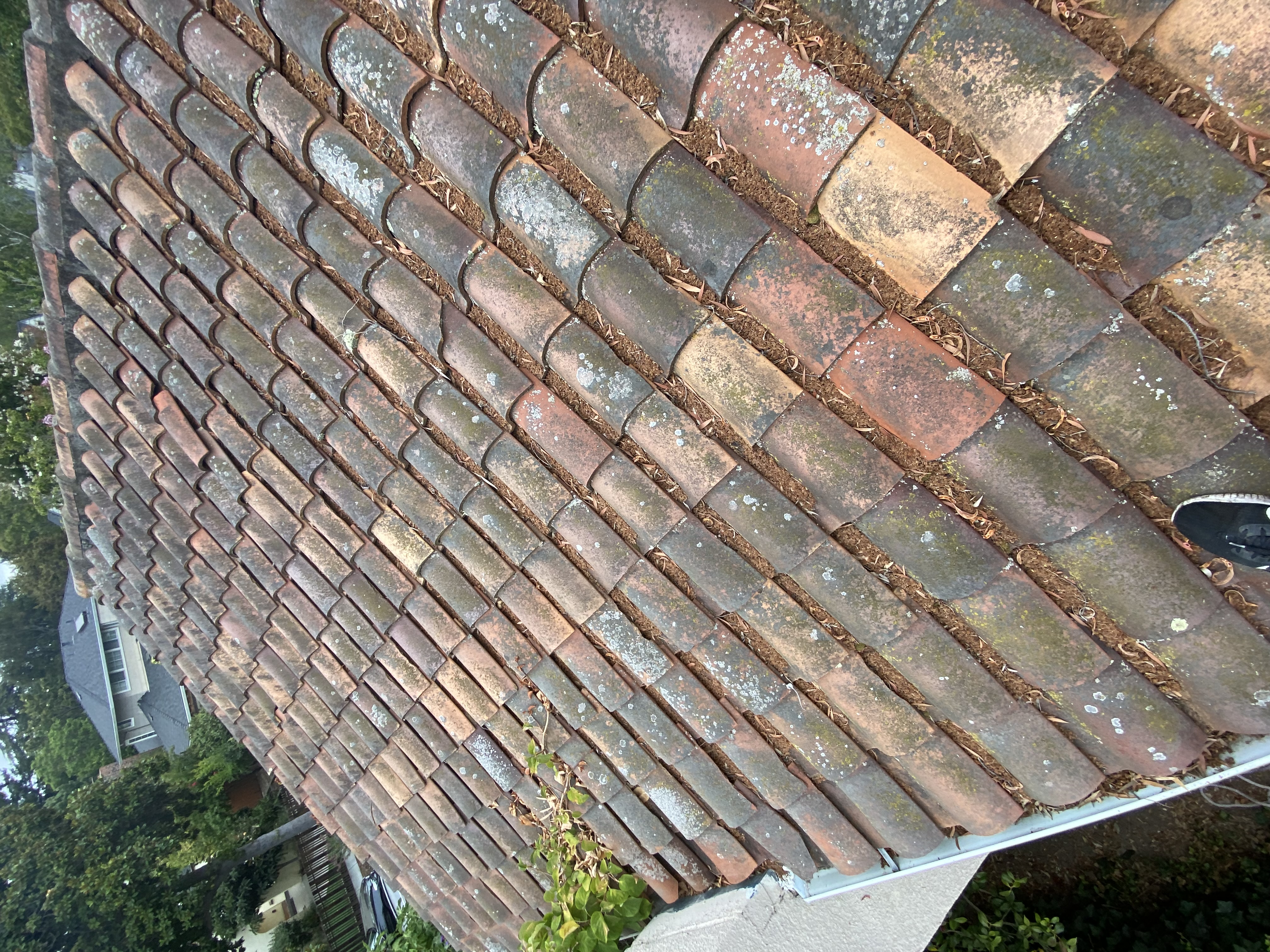 Before — Palo Alto Spanish terracotta tile roof with moss and lichen before soft wash