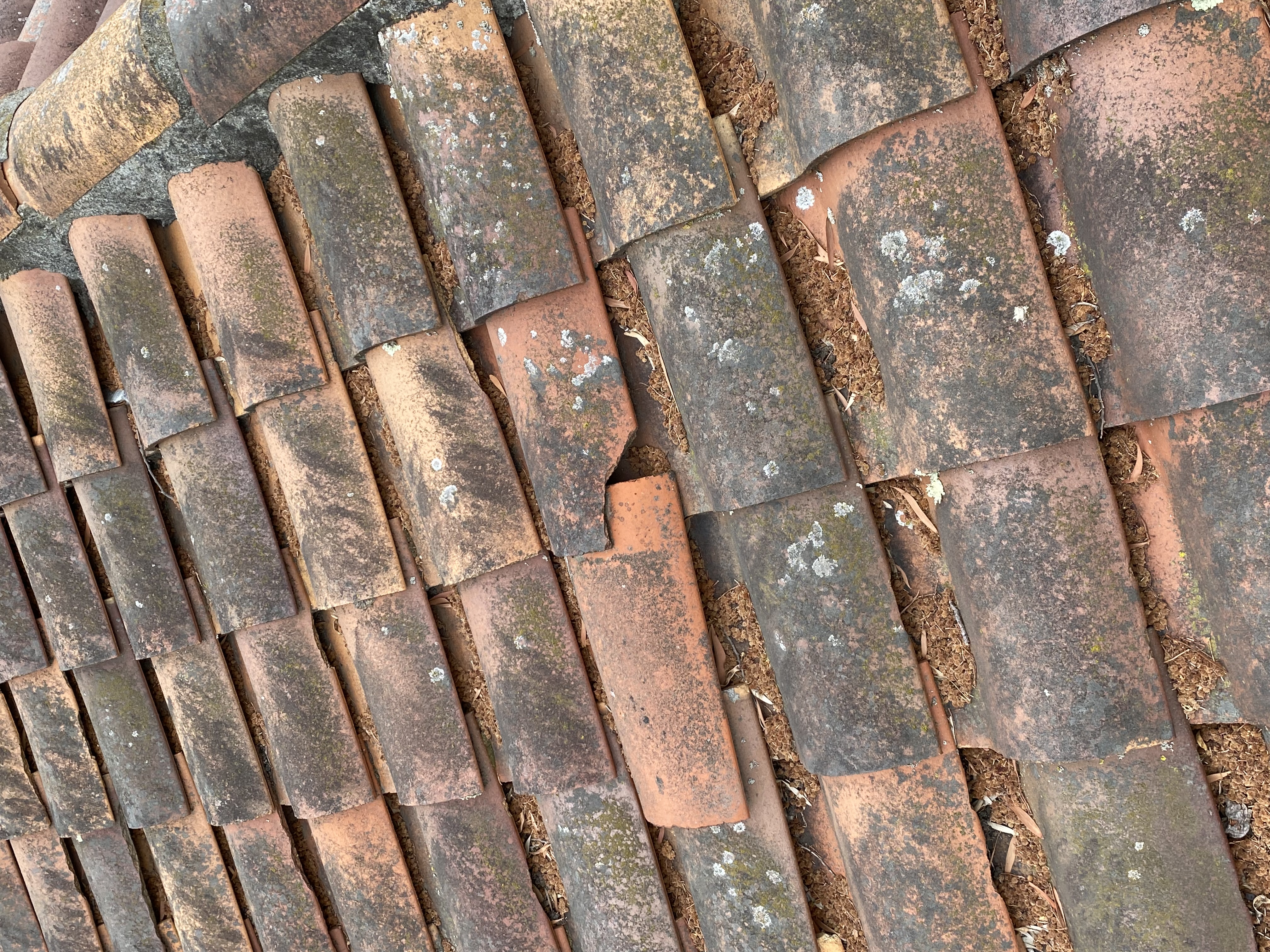 Before — Palo Alto Spanish tile roof valley with moss before treatment