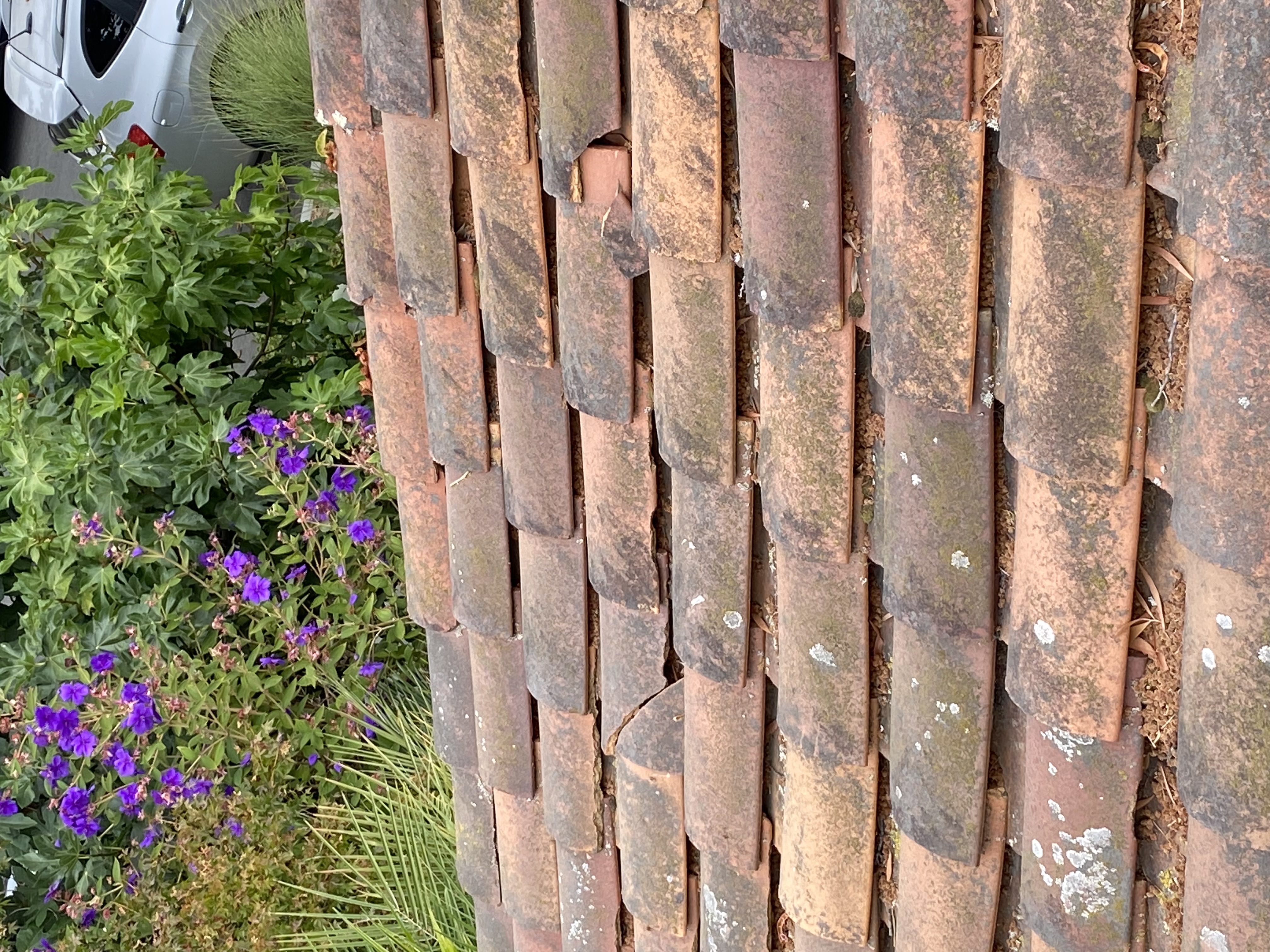 Before — Palo Alto tile roof with lichen on shaded sections before service