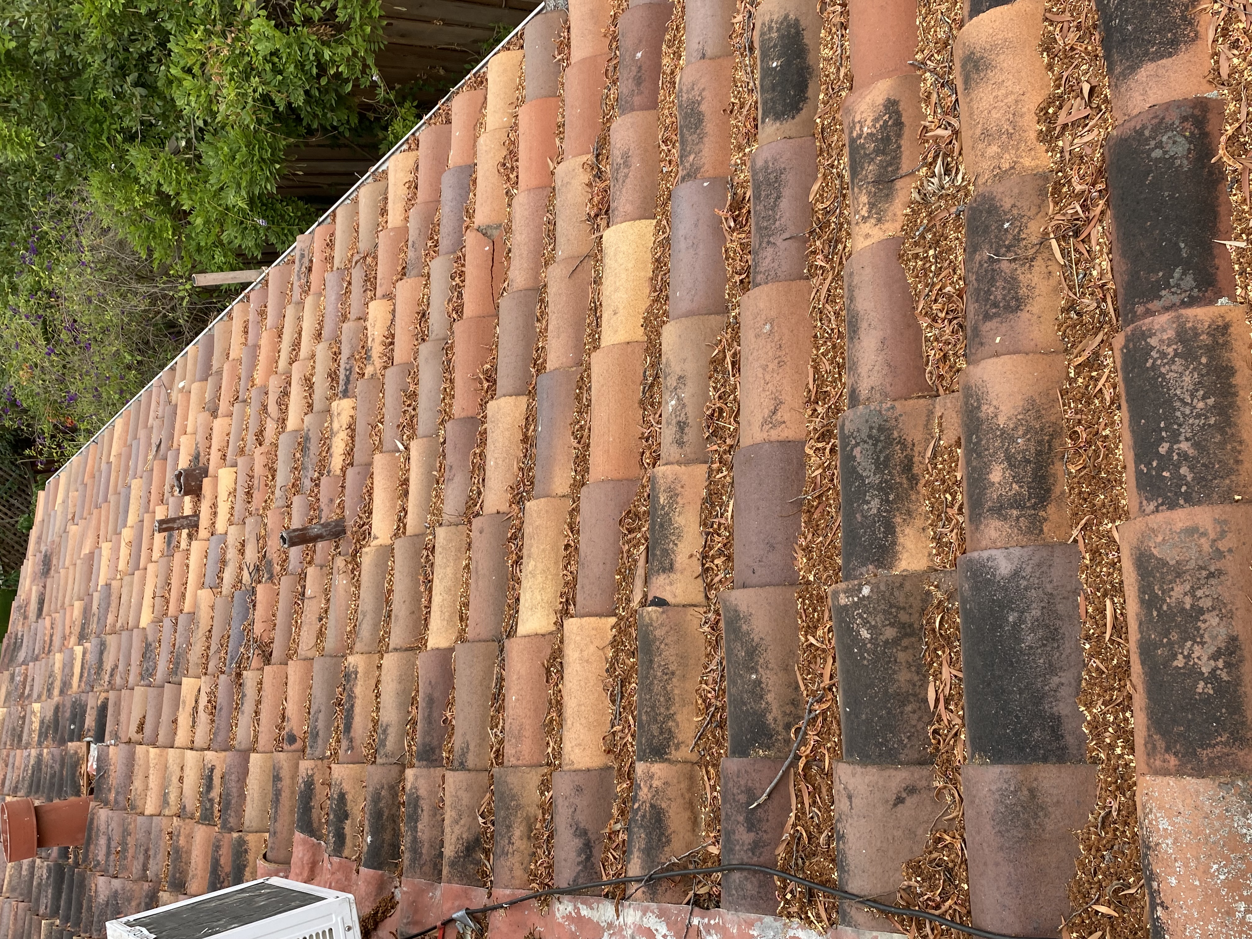 Before — Palo Alto terracotta roof with algae growth before soft wash