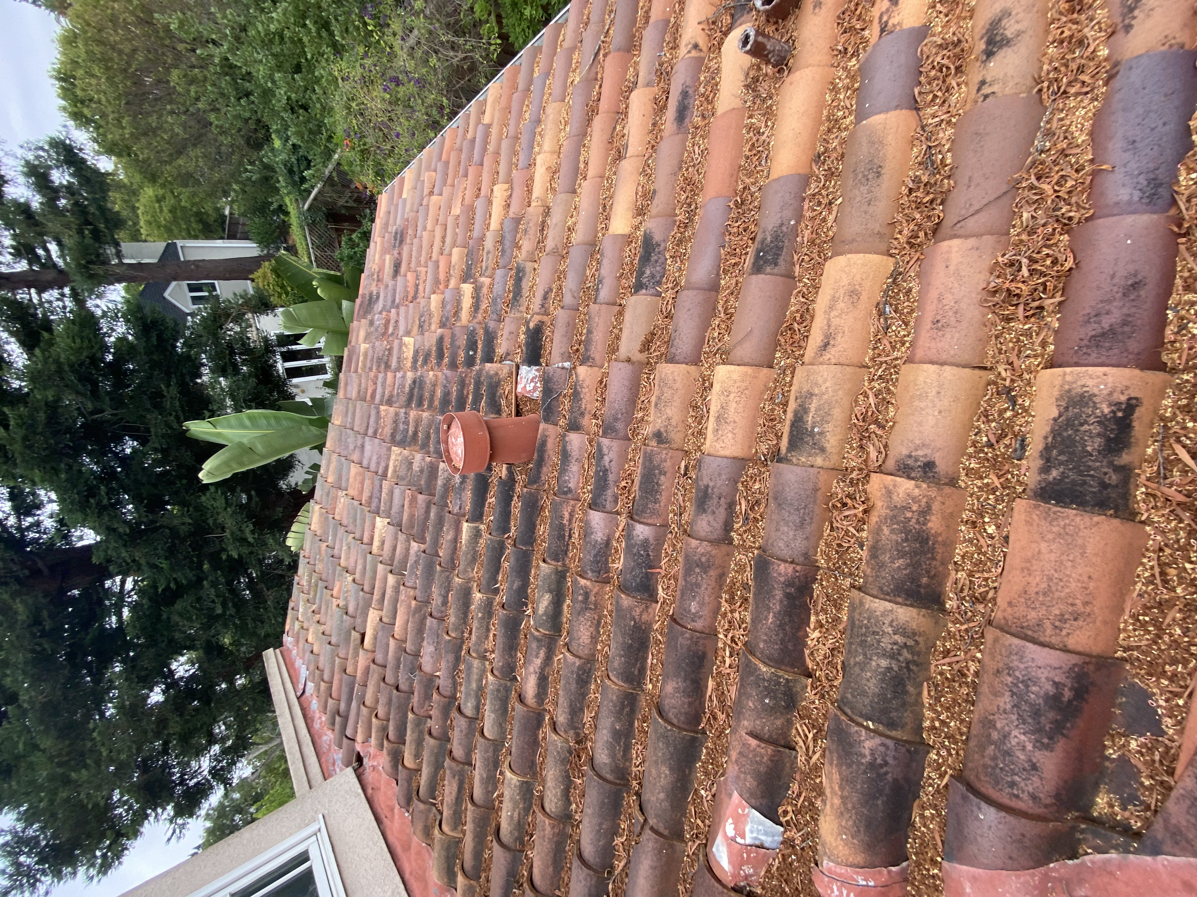 Before — Palo Alto Spanish tile roof full view before cleaning