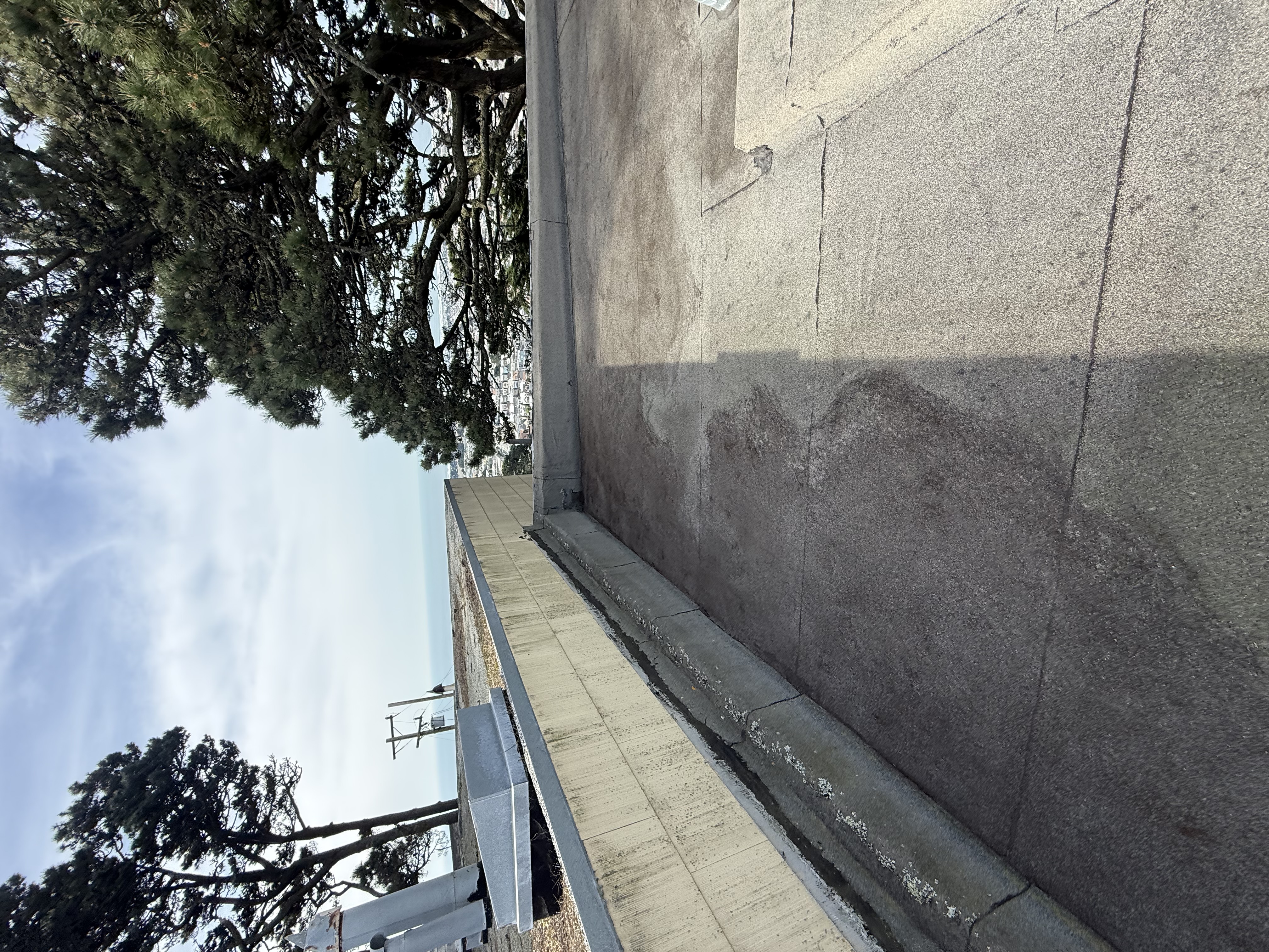 After — San Francisco roof debris removal finished, clean gutters and surface