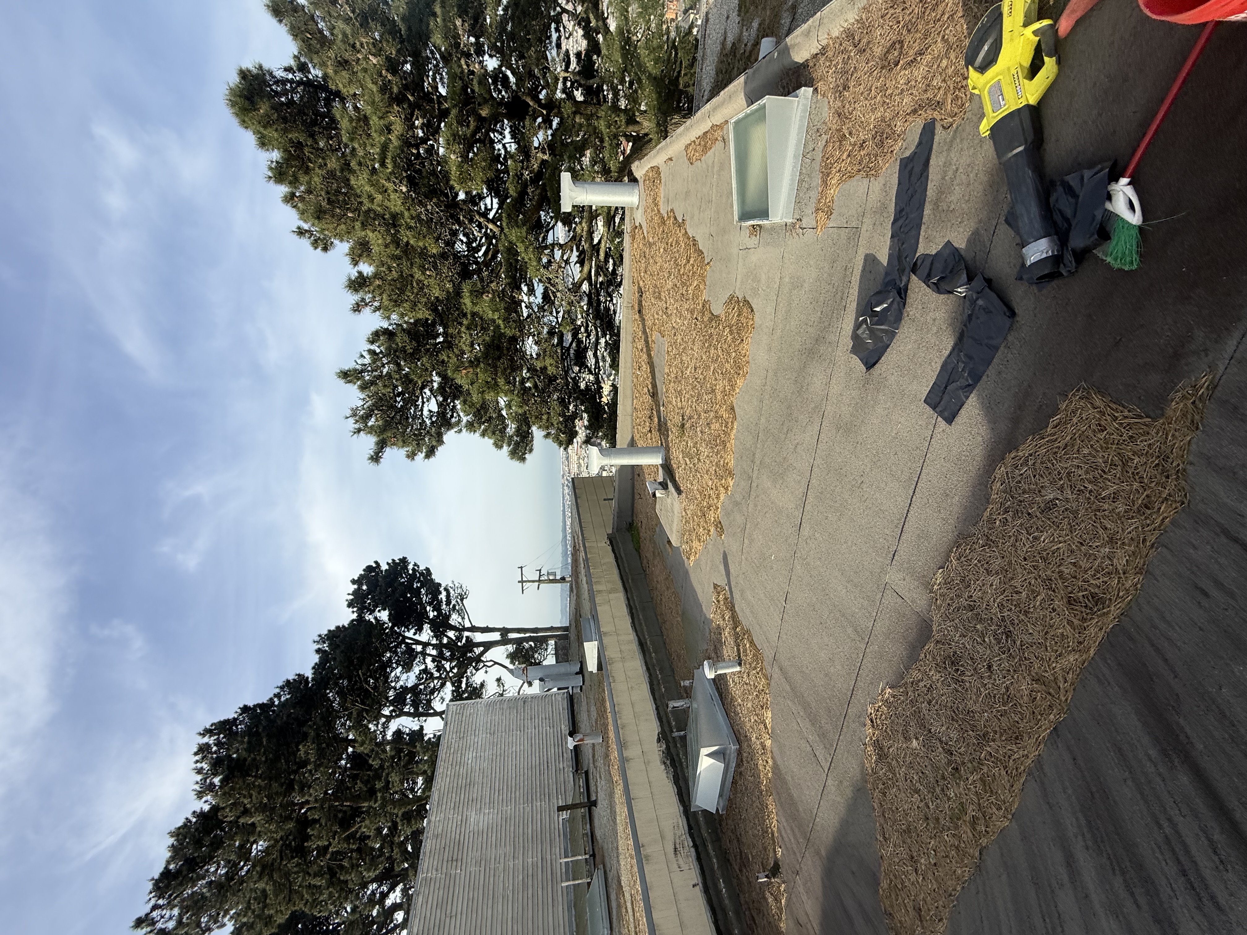 Before — San Francisco roof with debris and organic buildup in gutters